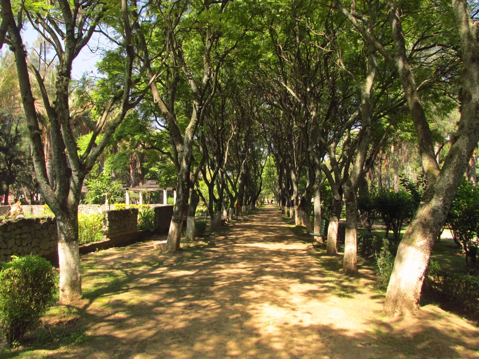 Jardín botánico Martín Cárdenas