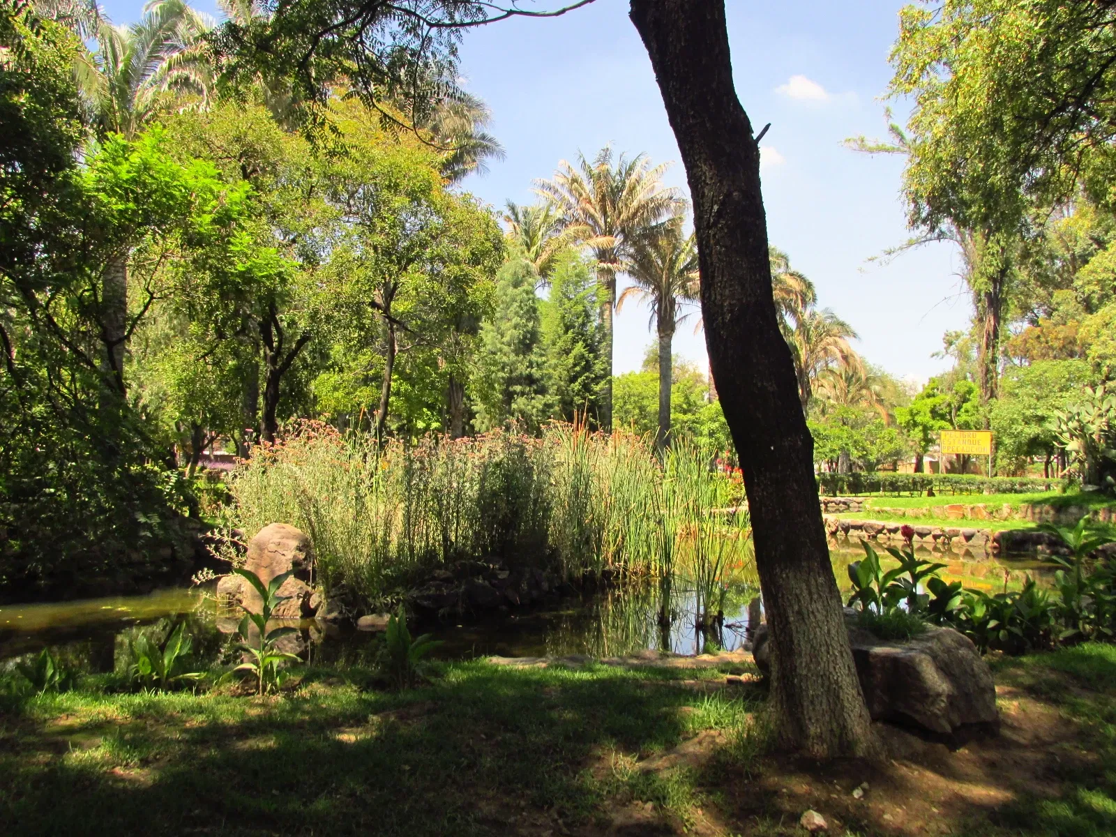 Jardín botánico Martín Cárdenas