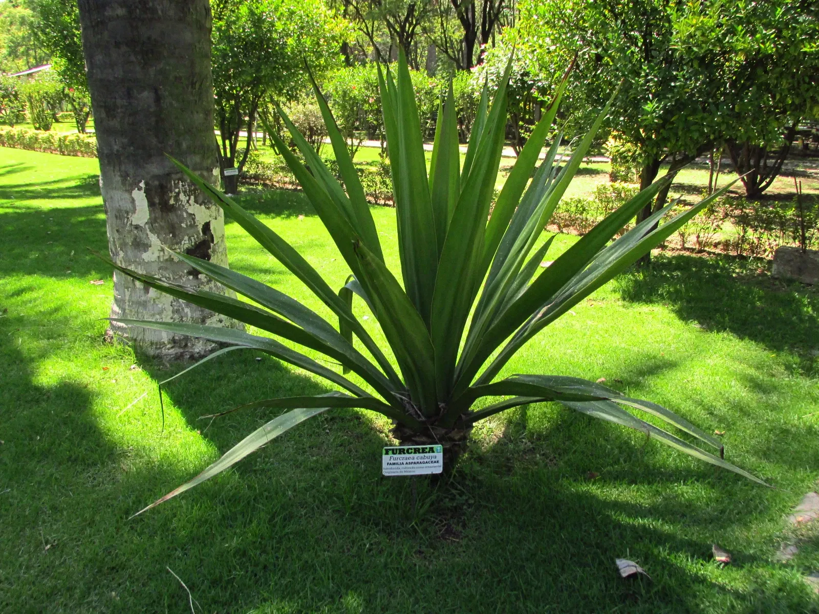Jardín botánico Martín Cárdenas