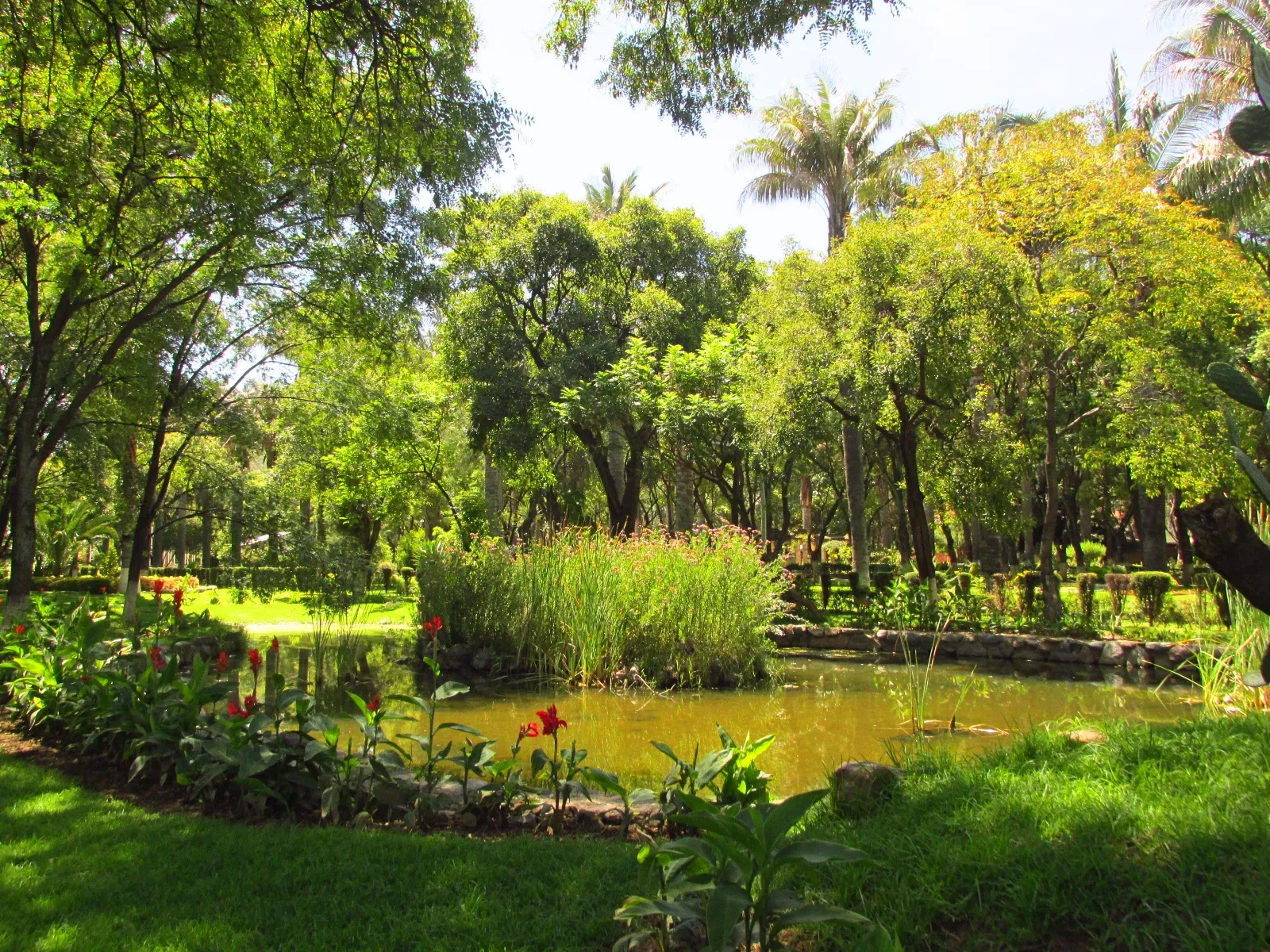 Jardín botánico Martín Cárdenas