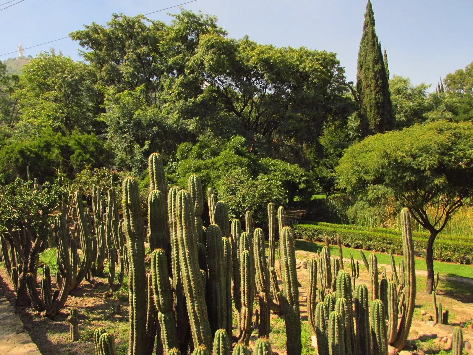 Jardín botánico Martín Cárdenas