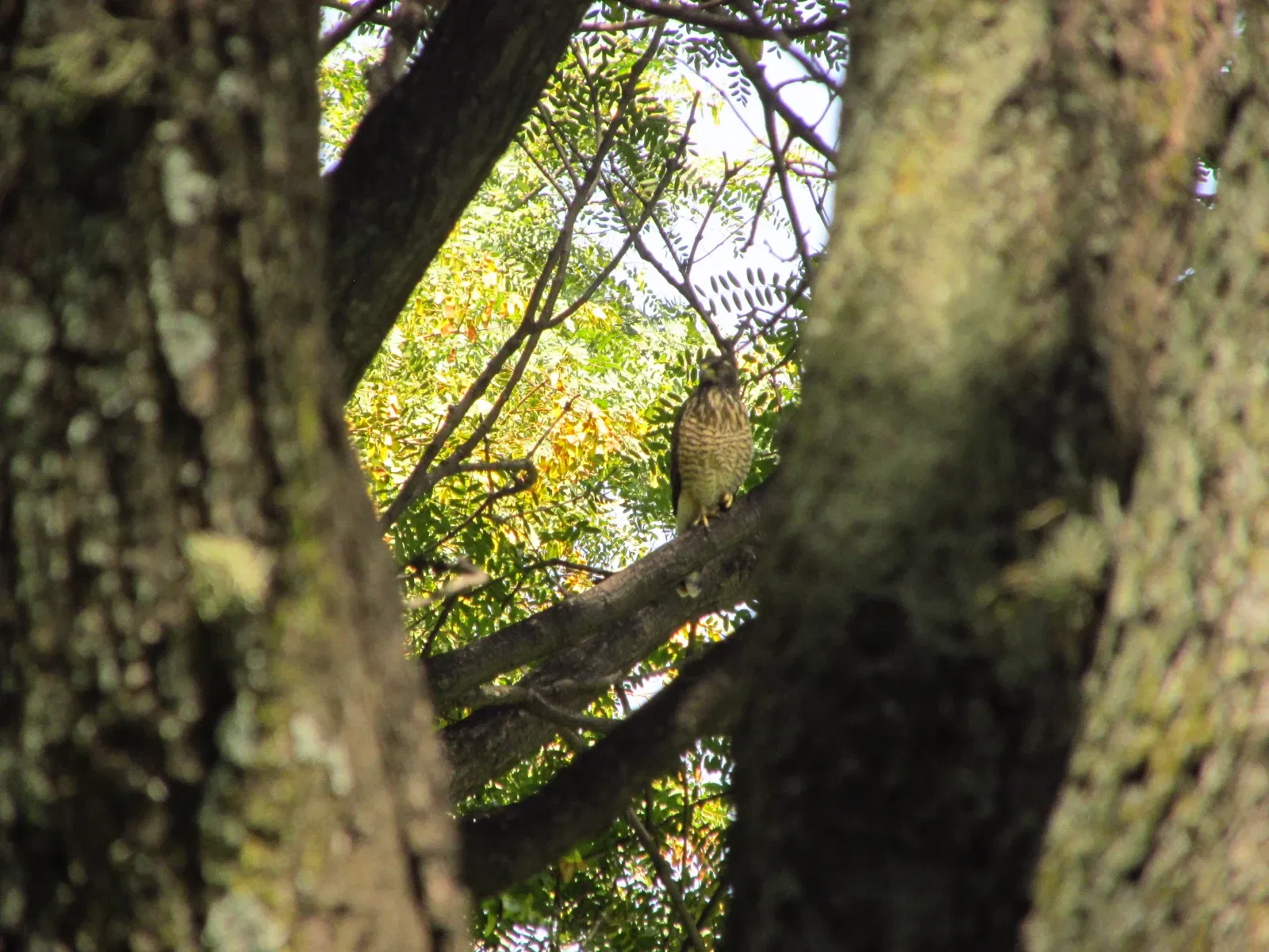 Jardín botánico Martín Cárdenas