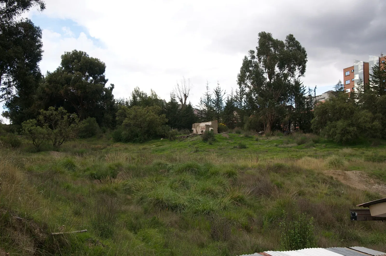 Museum of Natural History