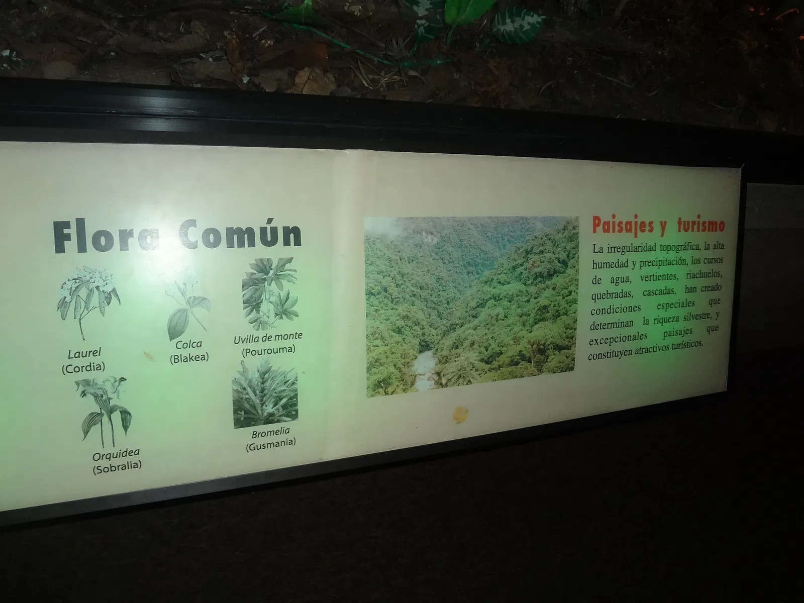 Gustavo Orcés V. Natural History Museum