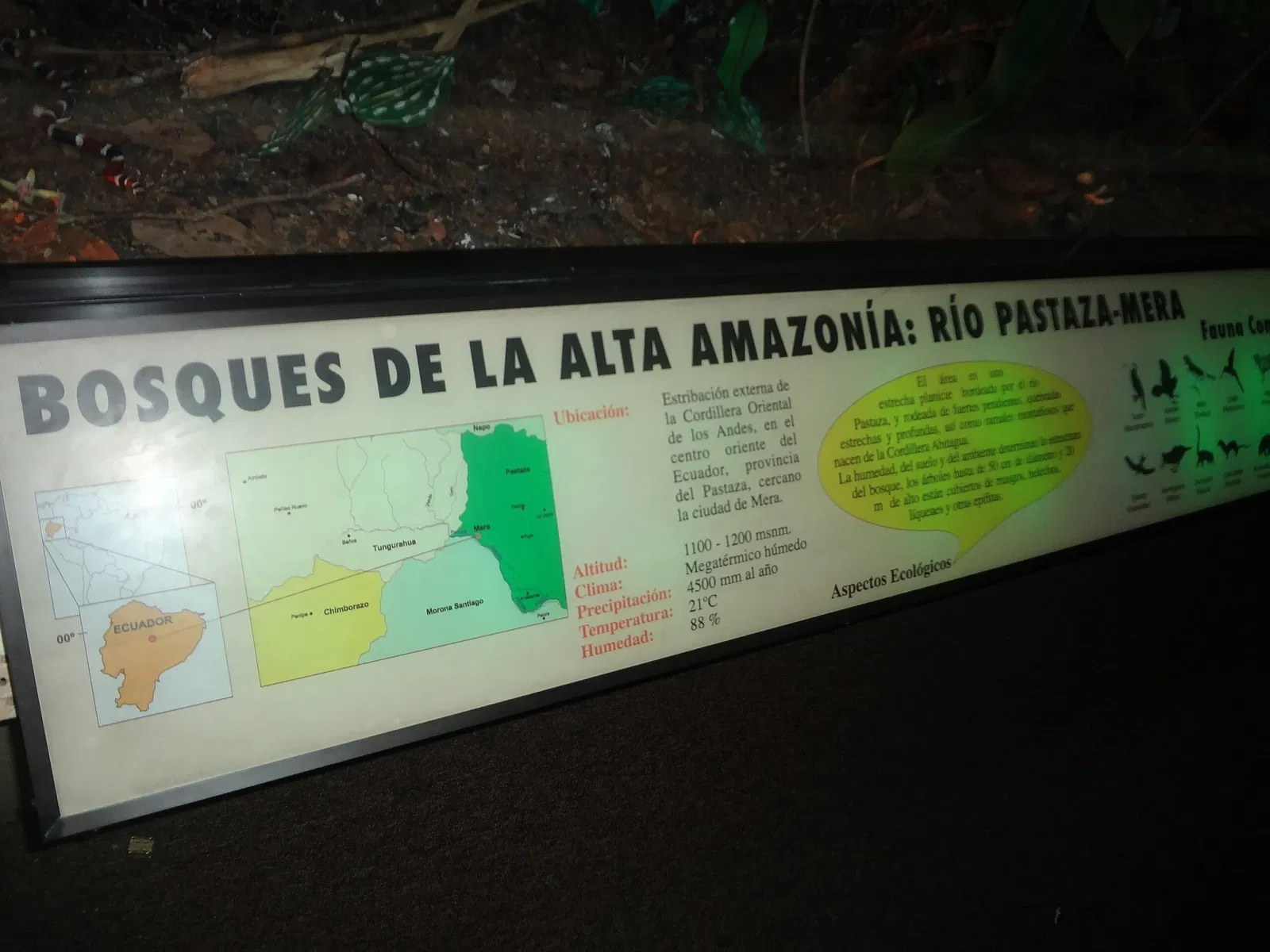 Gustavo Orcés V. Natural History Museum