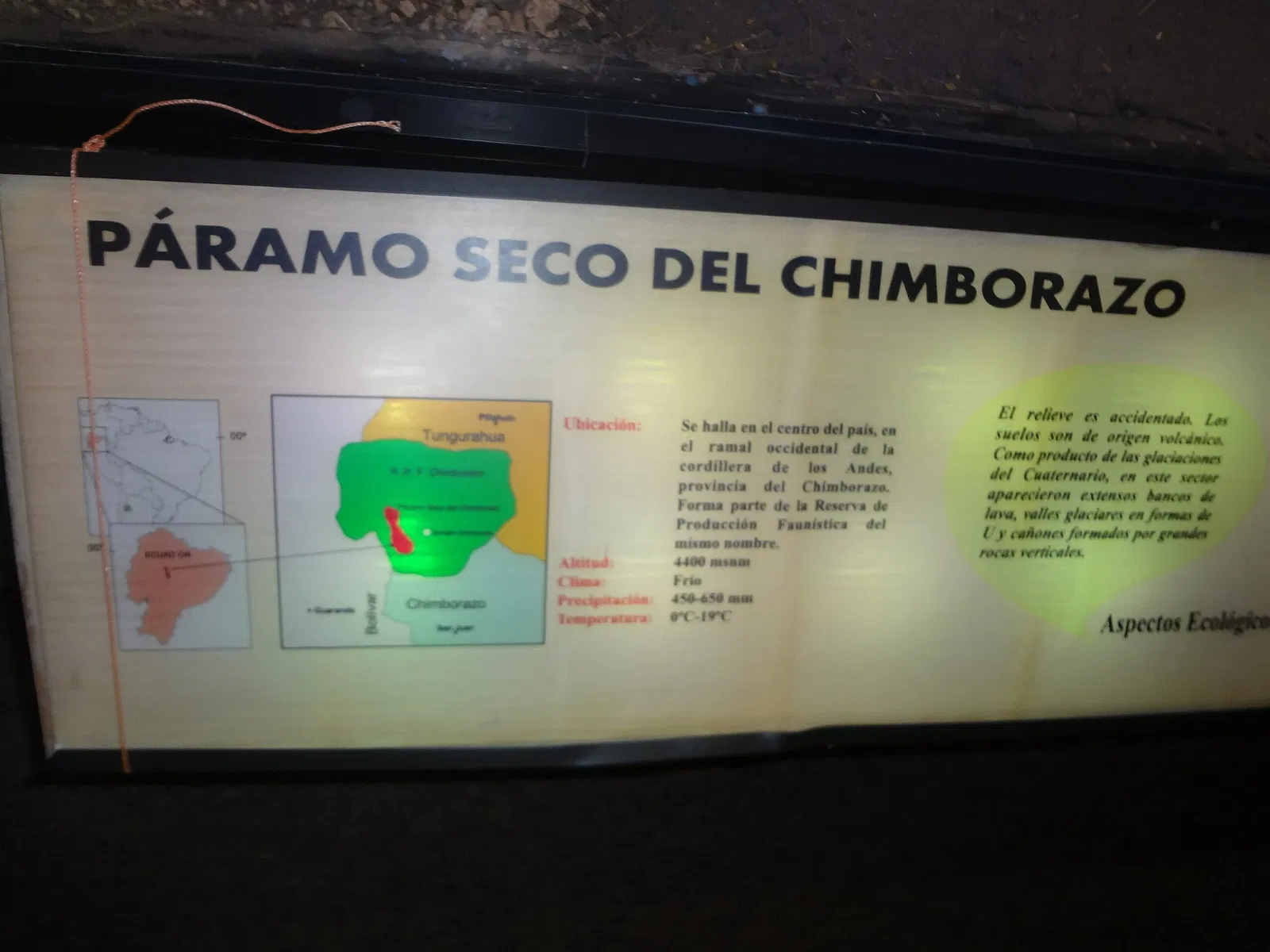 Museo de Historia Natural "Gustavo Orcés V".