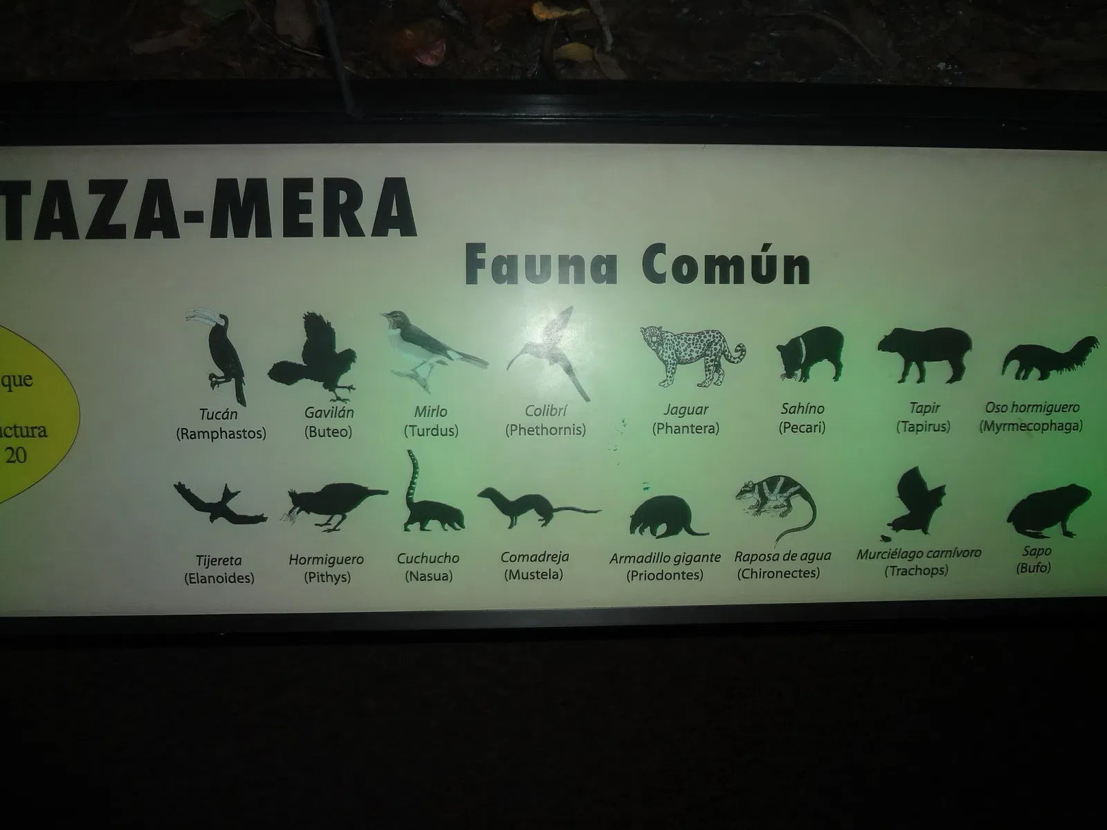 Museo de Historia Natural "Gustavo Orcés V".