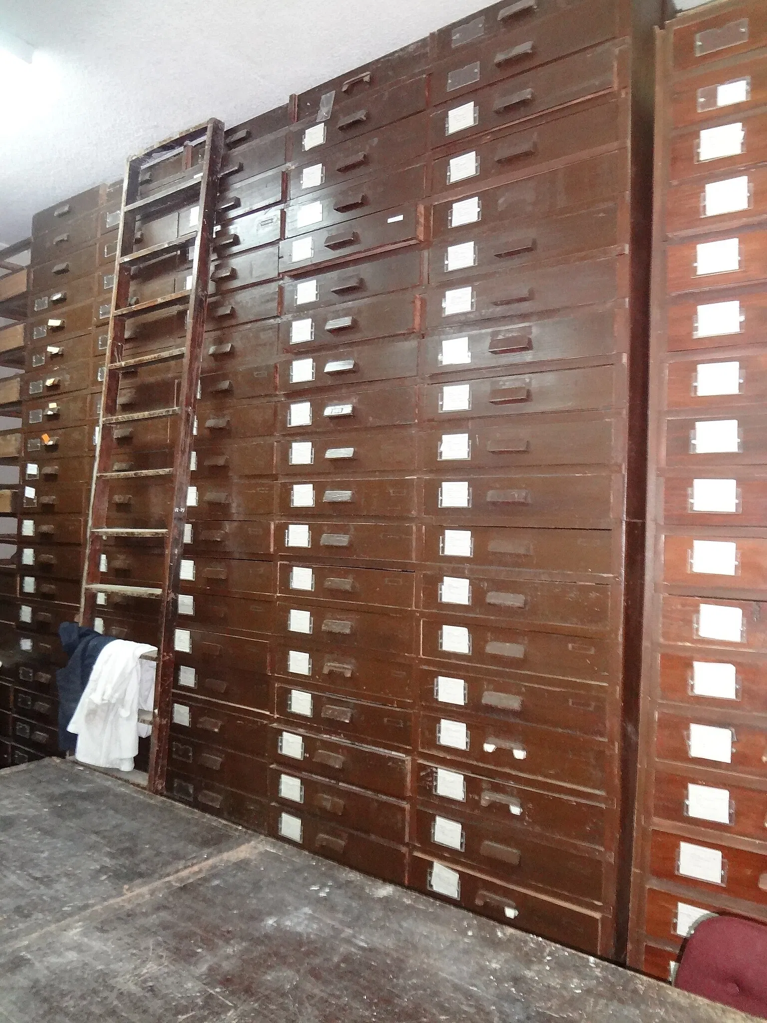 Gustavo Orcés V. Natural History Museum