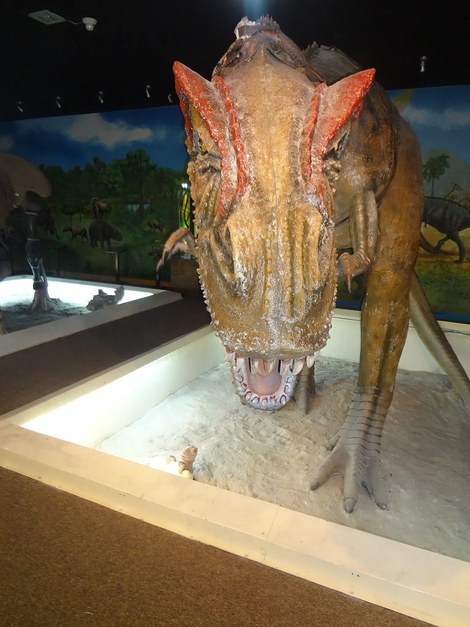 Gustavo Orcés V. Natural History Museum