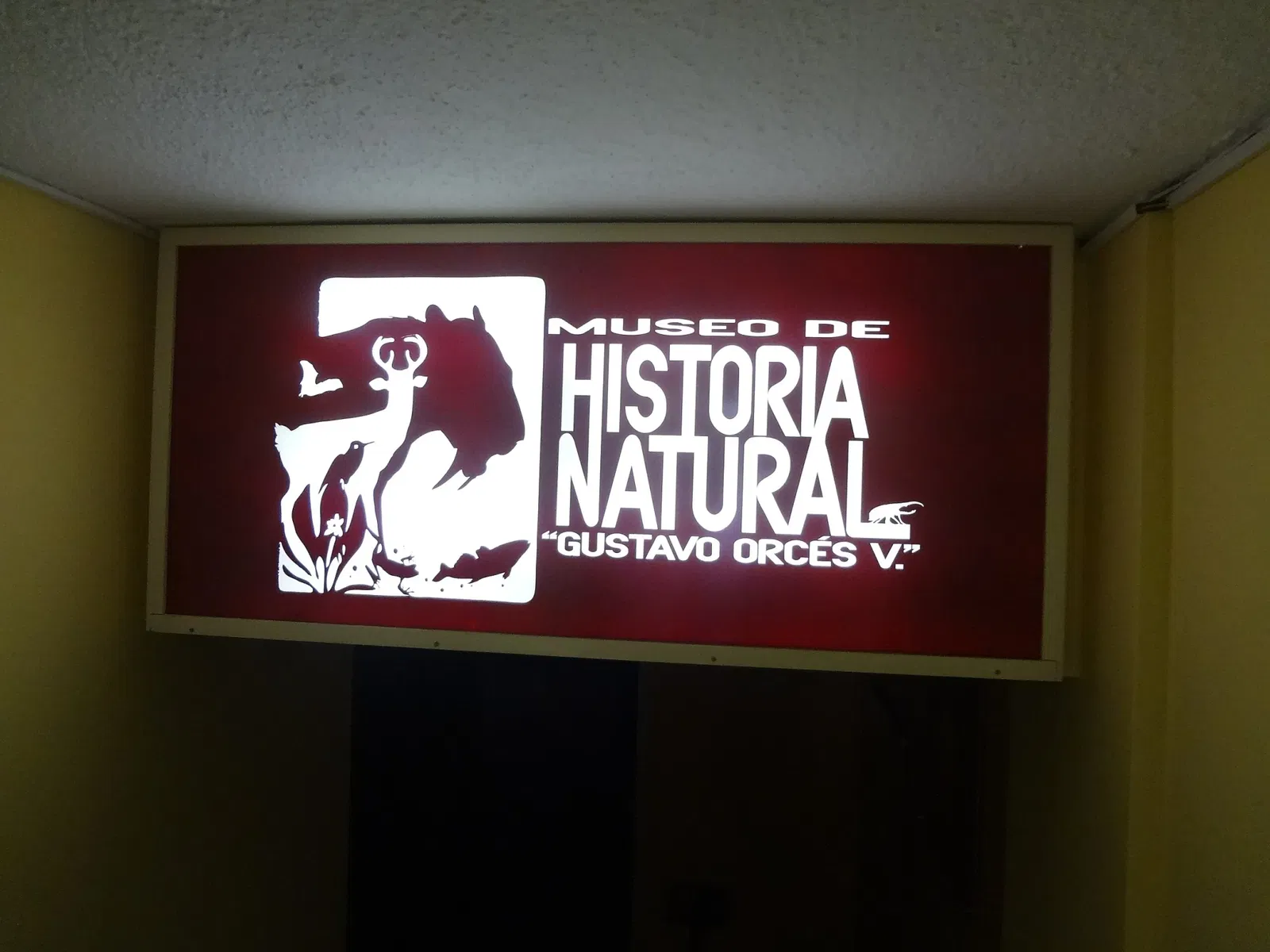 Museo de Historia Natural "Gustavo Orcés V".