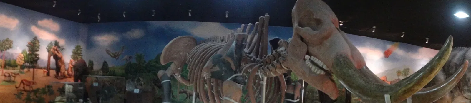 Gustavo Orcés V. Natural History Museum