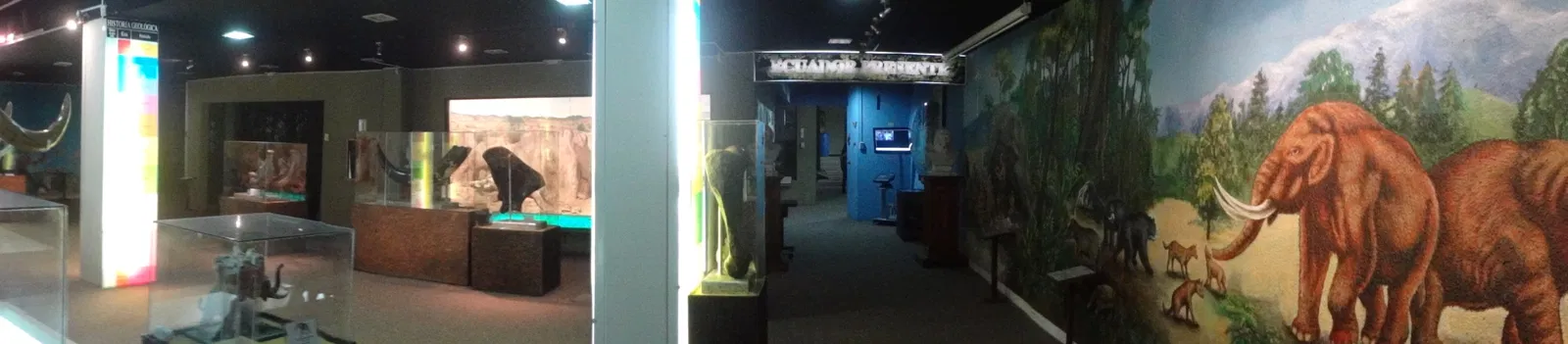 Gustavo Orcés V. Natural History Museum