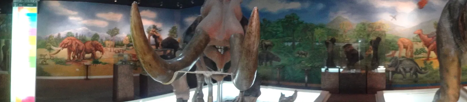 Museo de Historia Natural "Gustavo Orcés V".