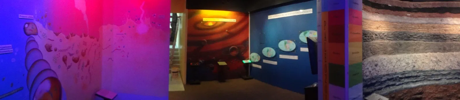 Museo de Historia Natural "Gustavo Orcés V".