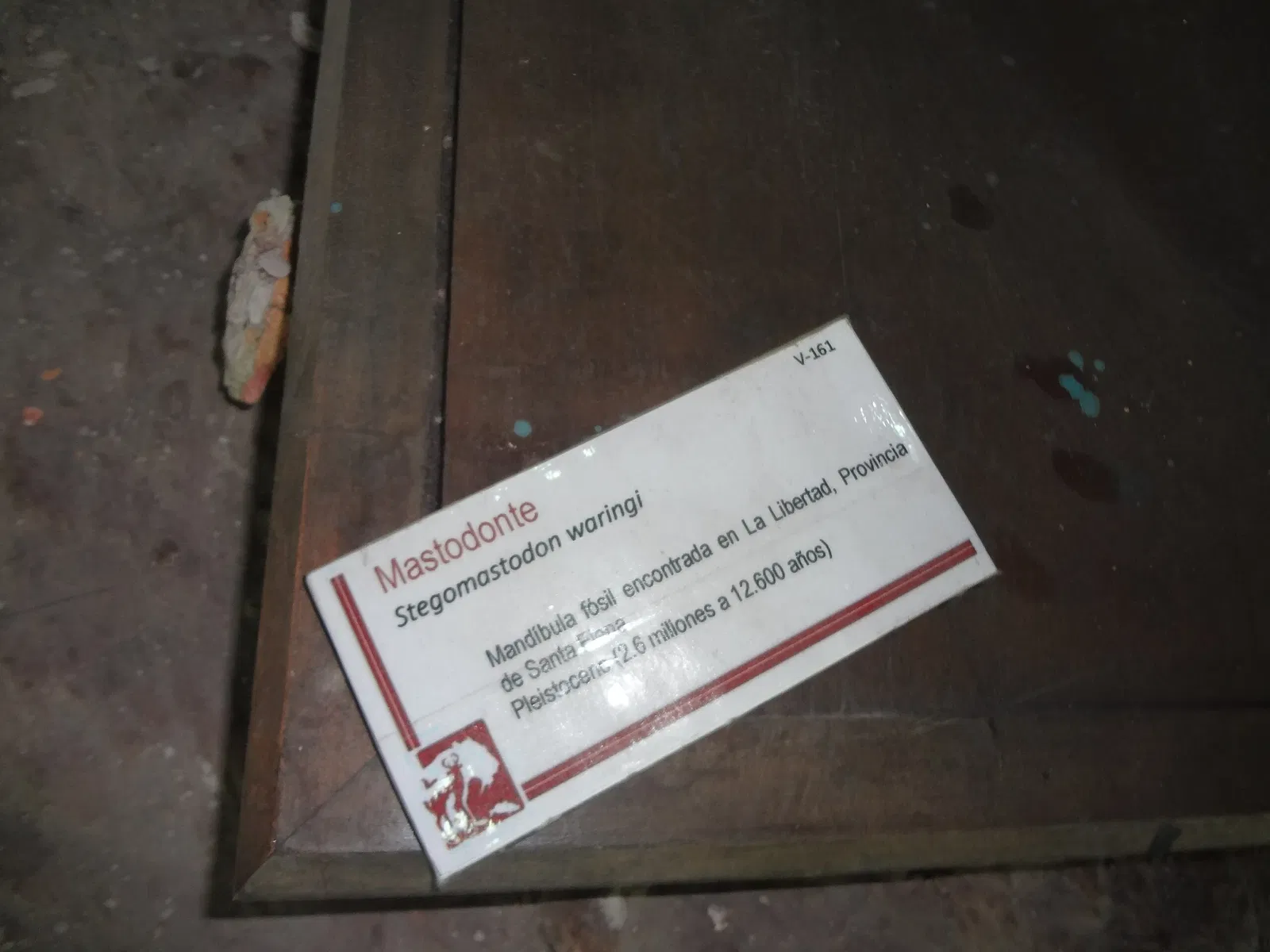Museo de Historia Natural "Gustavo Orcés V".