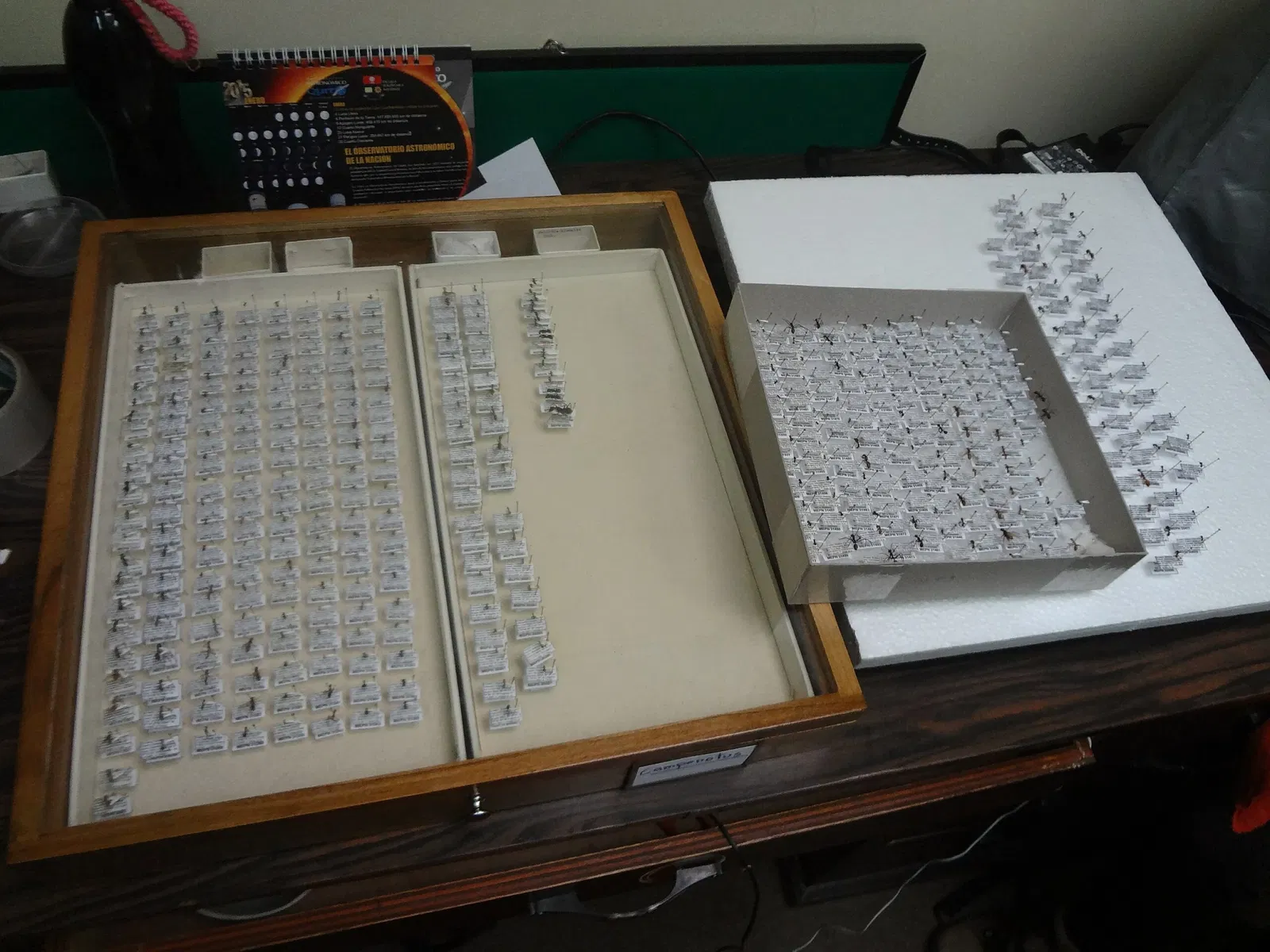 Museo de Historia Natural "Gustavo Orcés V".