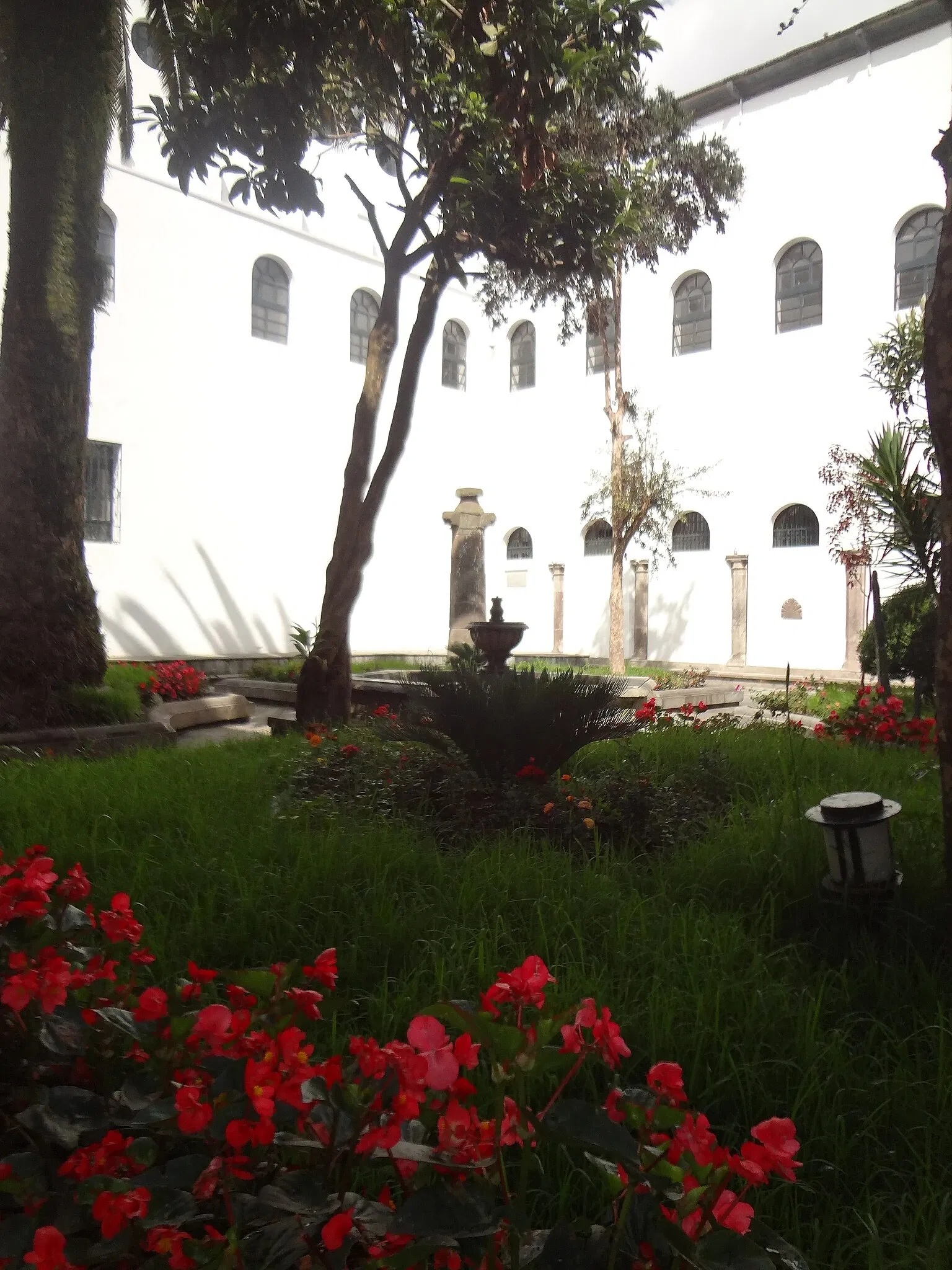 Museo Alberto Mena Caamaño