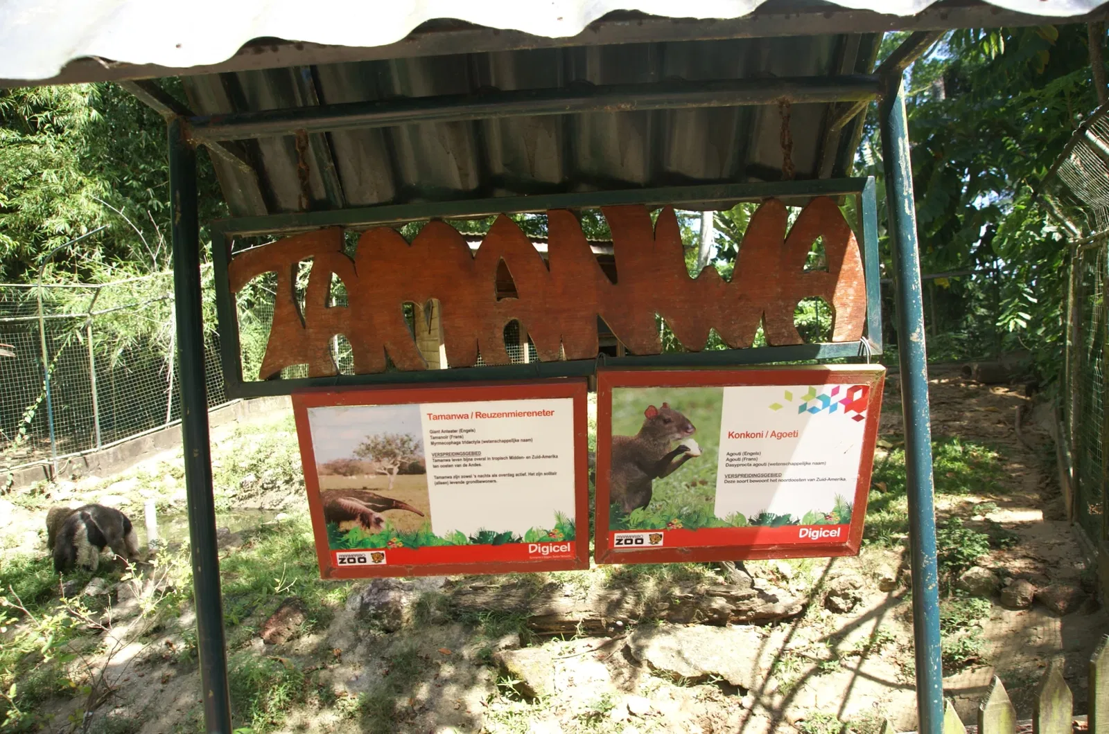 Zoológico de Paramaribo