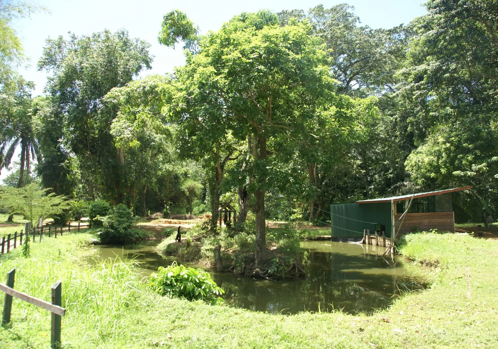 Paramaribo Zoo