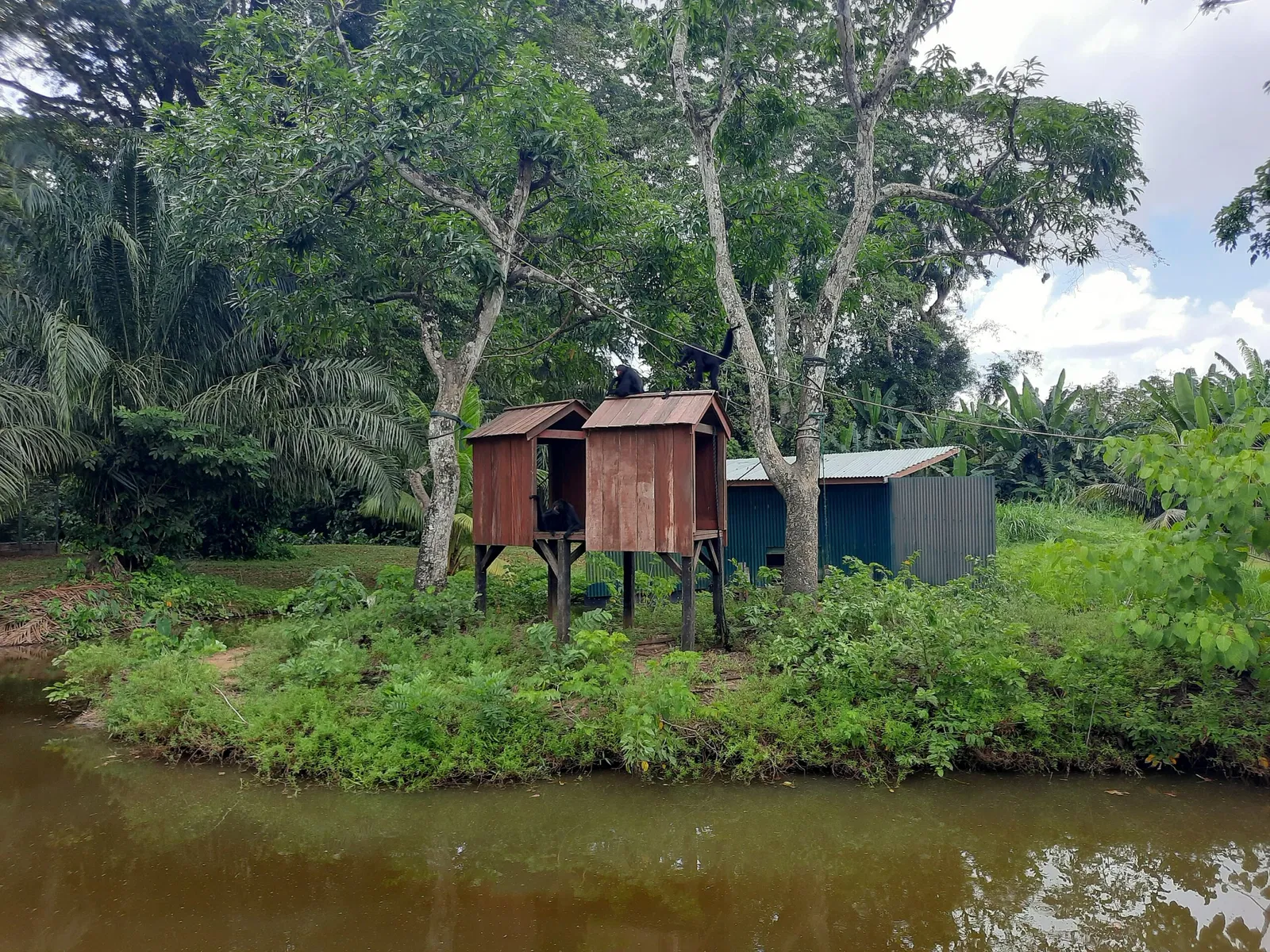 Zoológico de Paramaribo