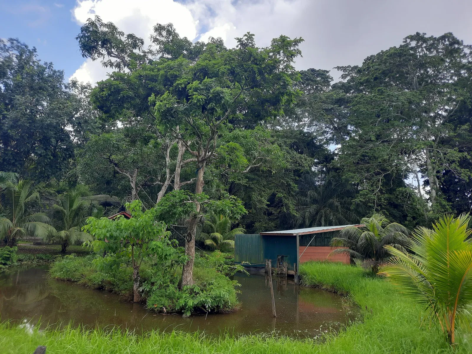 Zoológico de Paramaribo
