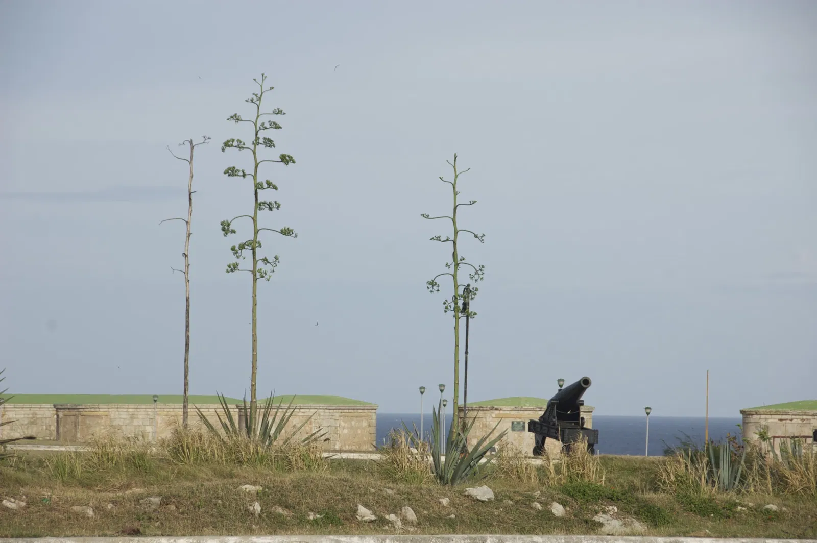 Forteresse de la Cabaña