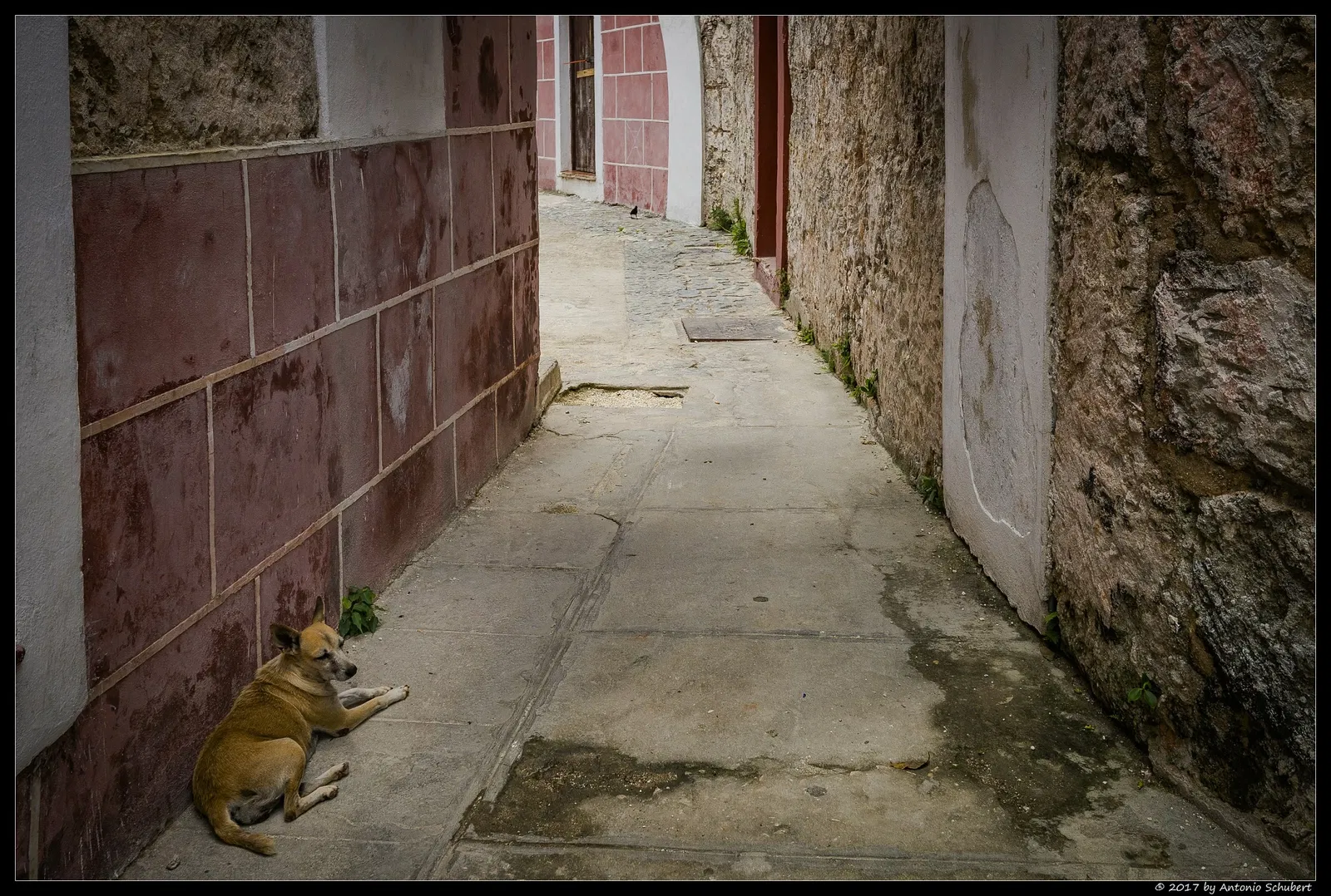 Fortaleza de San Carlos de La Cabaña