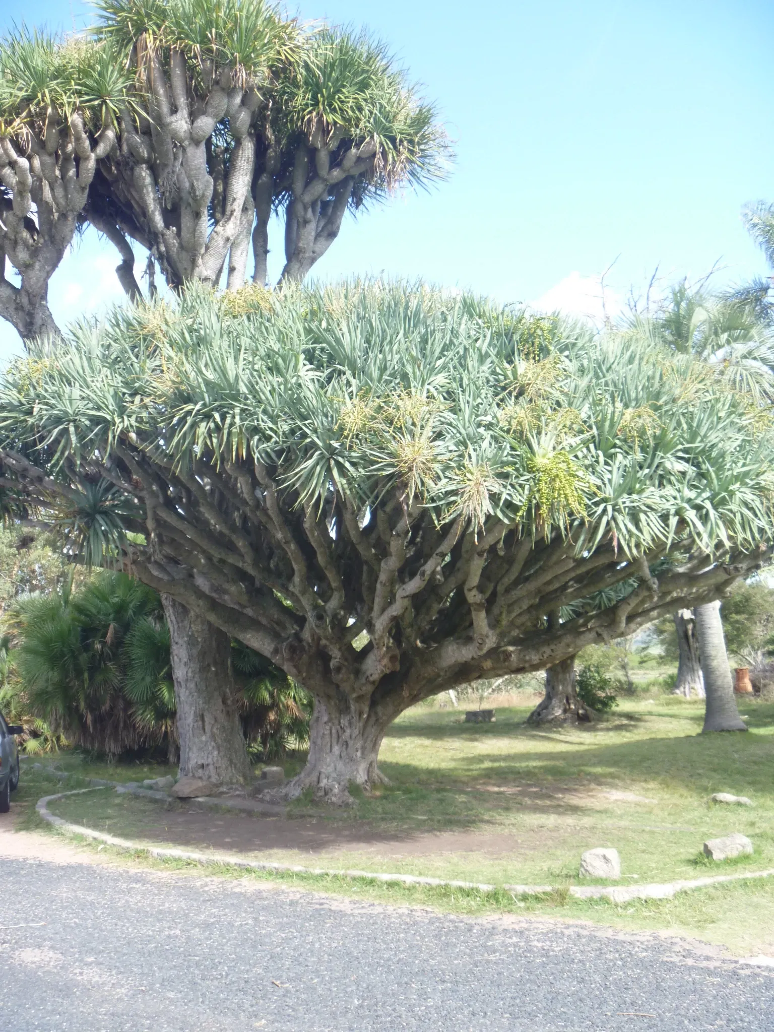 Francisco Piria Castle