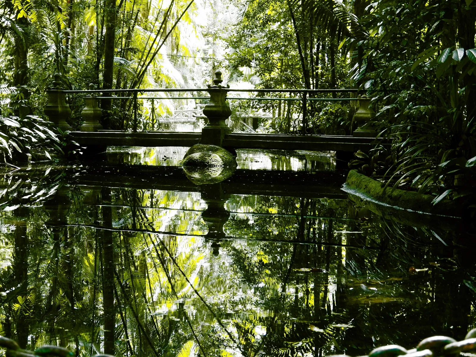 Bosque Rodrigues Alves