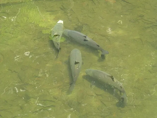 Bosque Rodrigues Alves