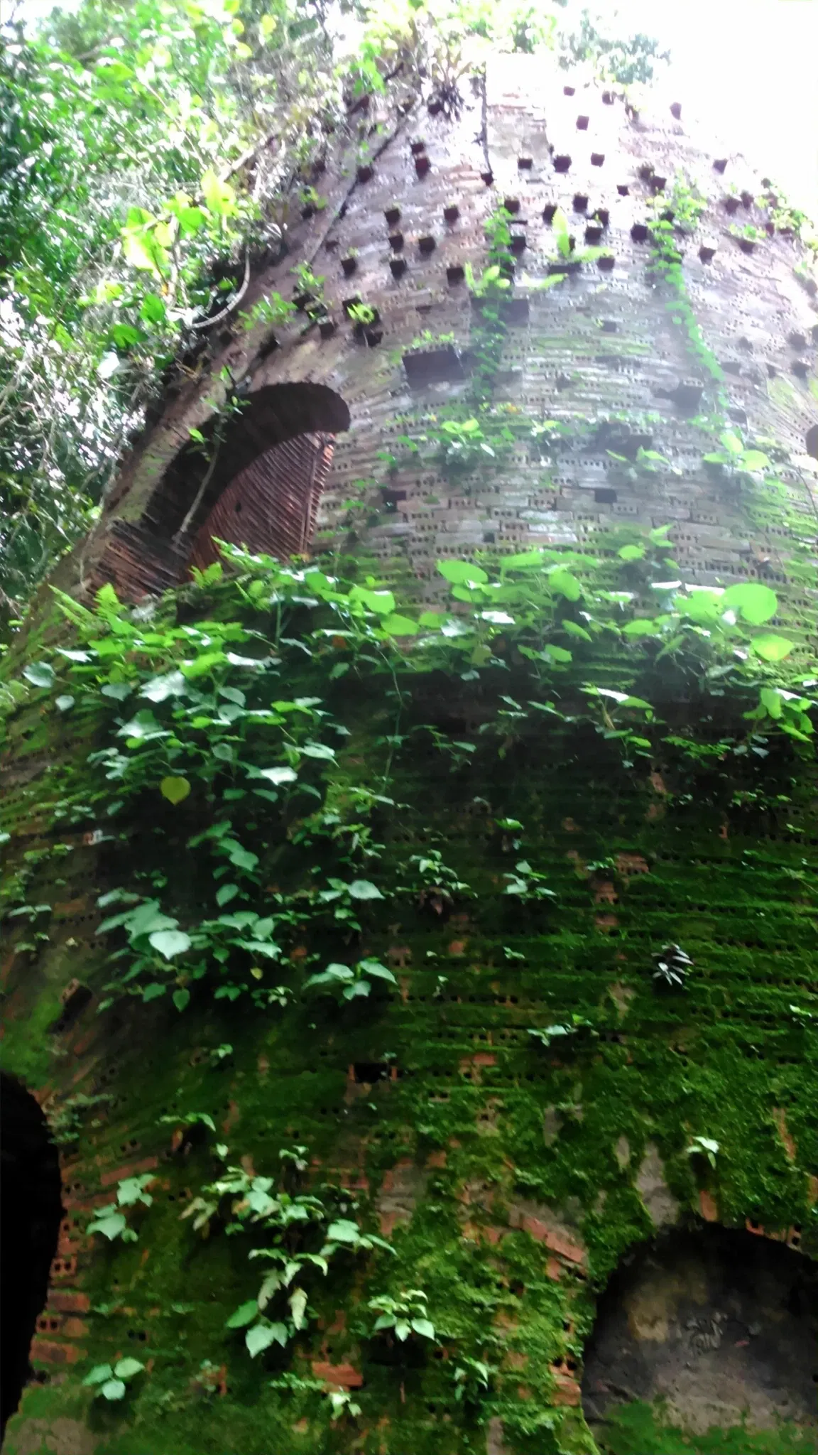 Bosque Rodrigues Alves