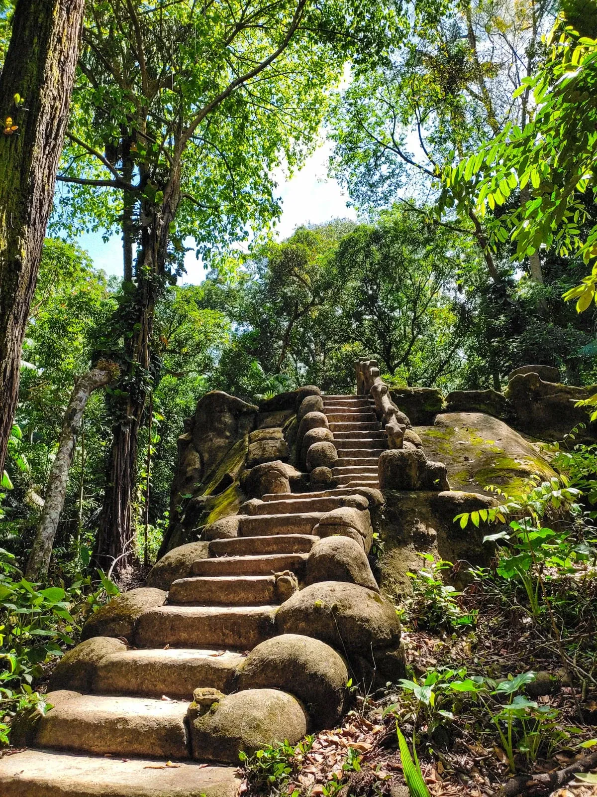 Bosque Rodrigues Alves