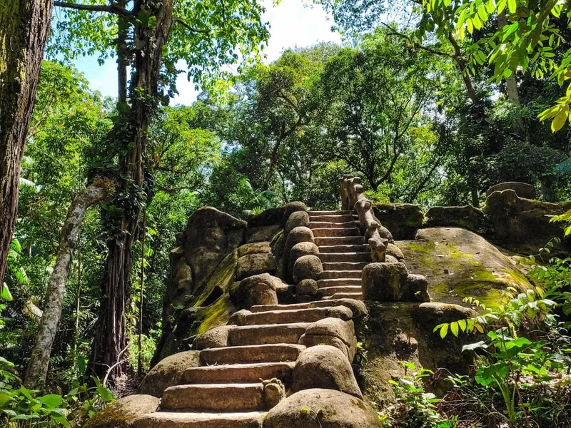 Bosque Rodrigues Alves Bel m Informaci n Para Visitantes Rese as bosque-rodrigues-alves-bel-m-informaci-n-para-visitantes-rese-as