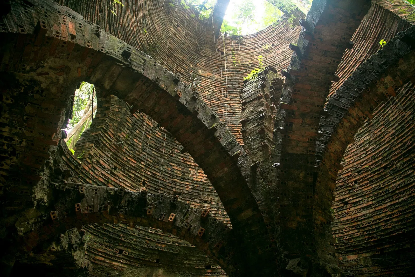 Bosque Rodrigues Alves