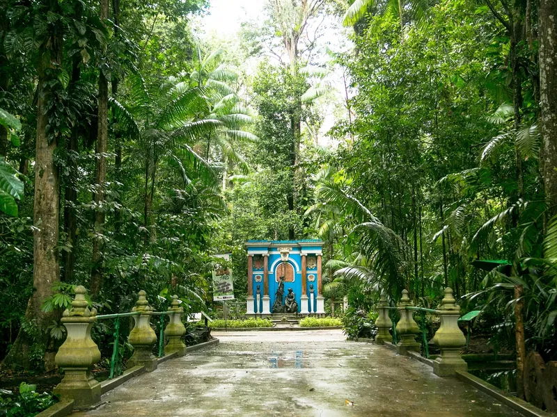Bosque Rodrigues Alves Bel m Informaci n Para Visitantes Rese as bosque-rodrigues-alves-bel-m-informaci-n-para-visitantes-rese-as