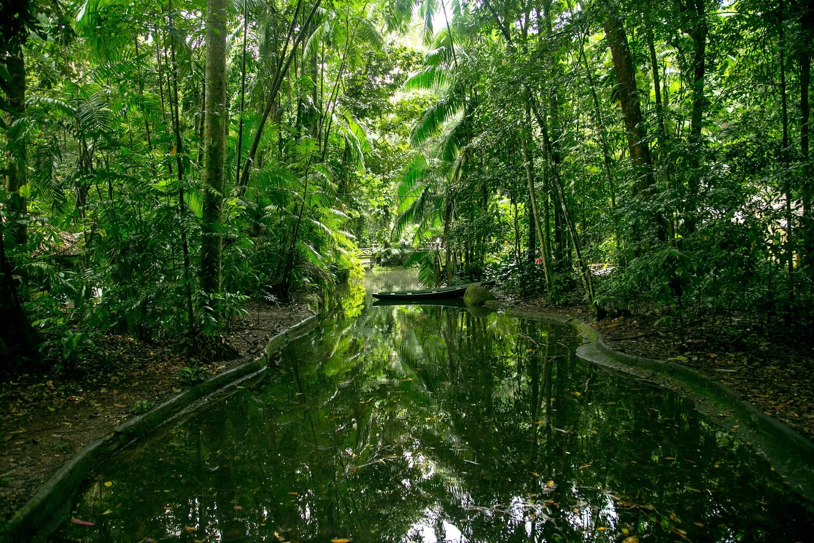 Bosque Rodrigues Alves