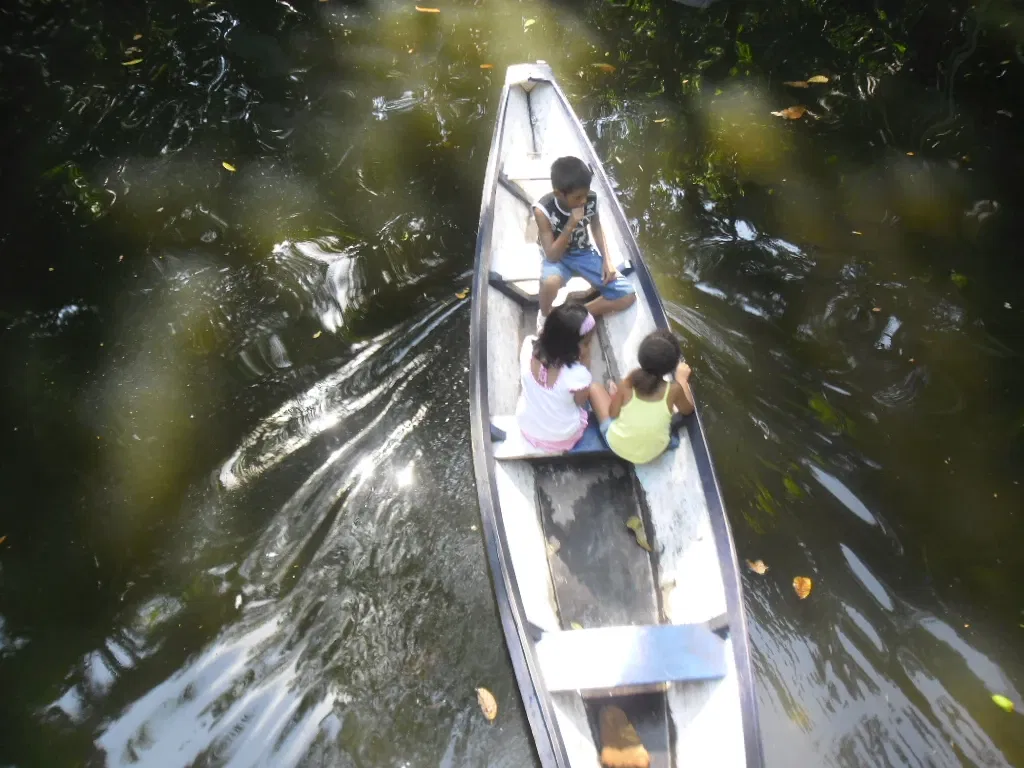 Bosque Rodrigues Alves