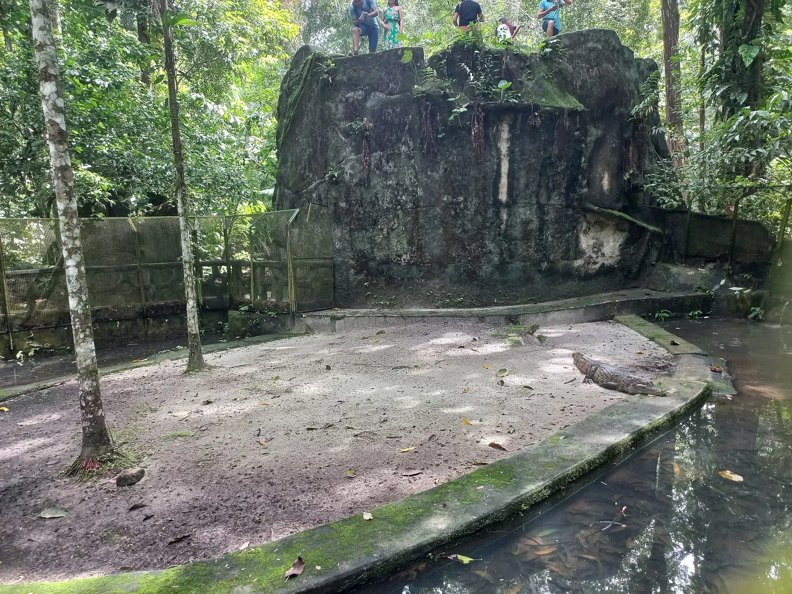 Bosque Rodrigues Alves