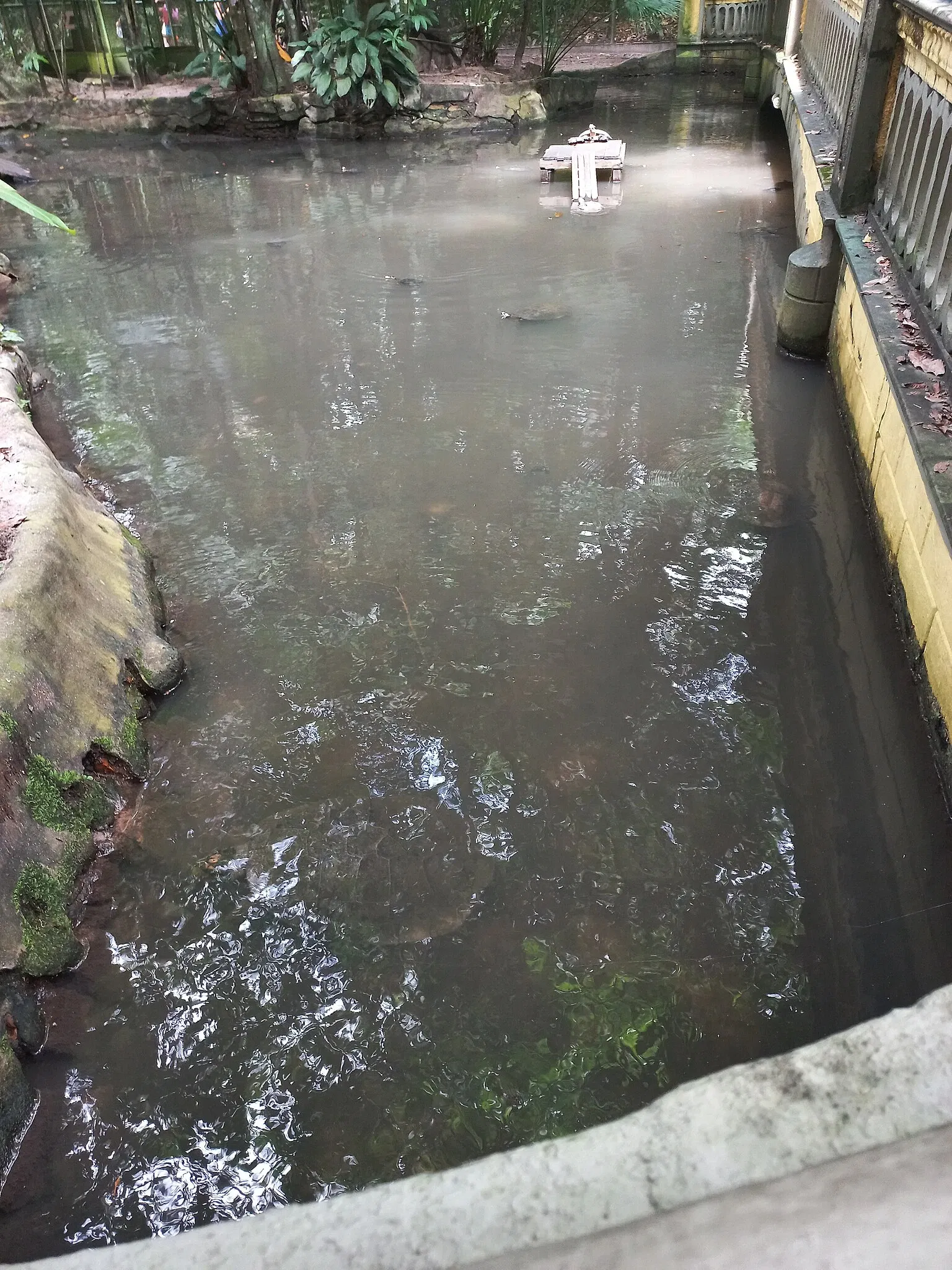 Bosque Rodrigues Alves