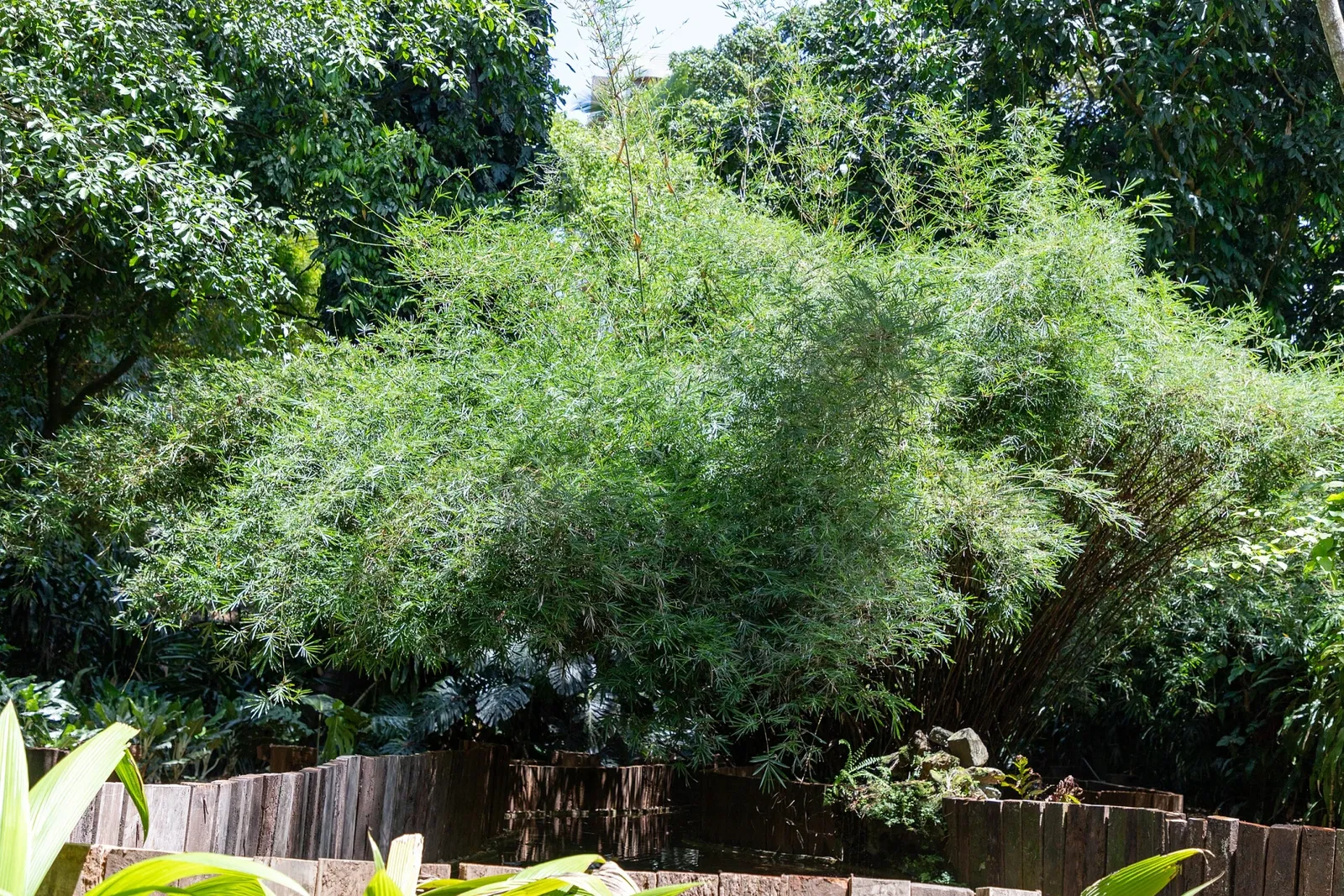 Museo Paraense Emílio Goeldi