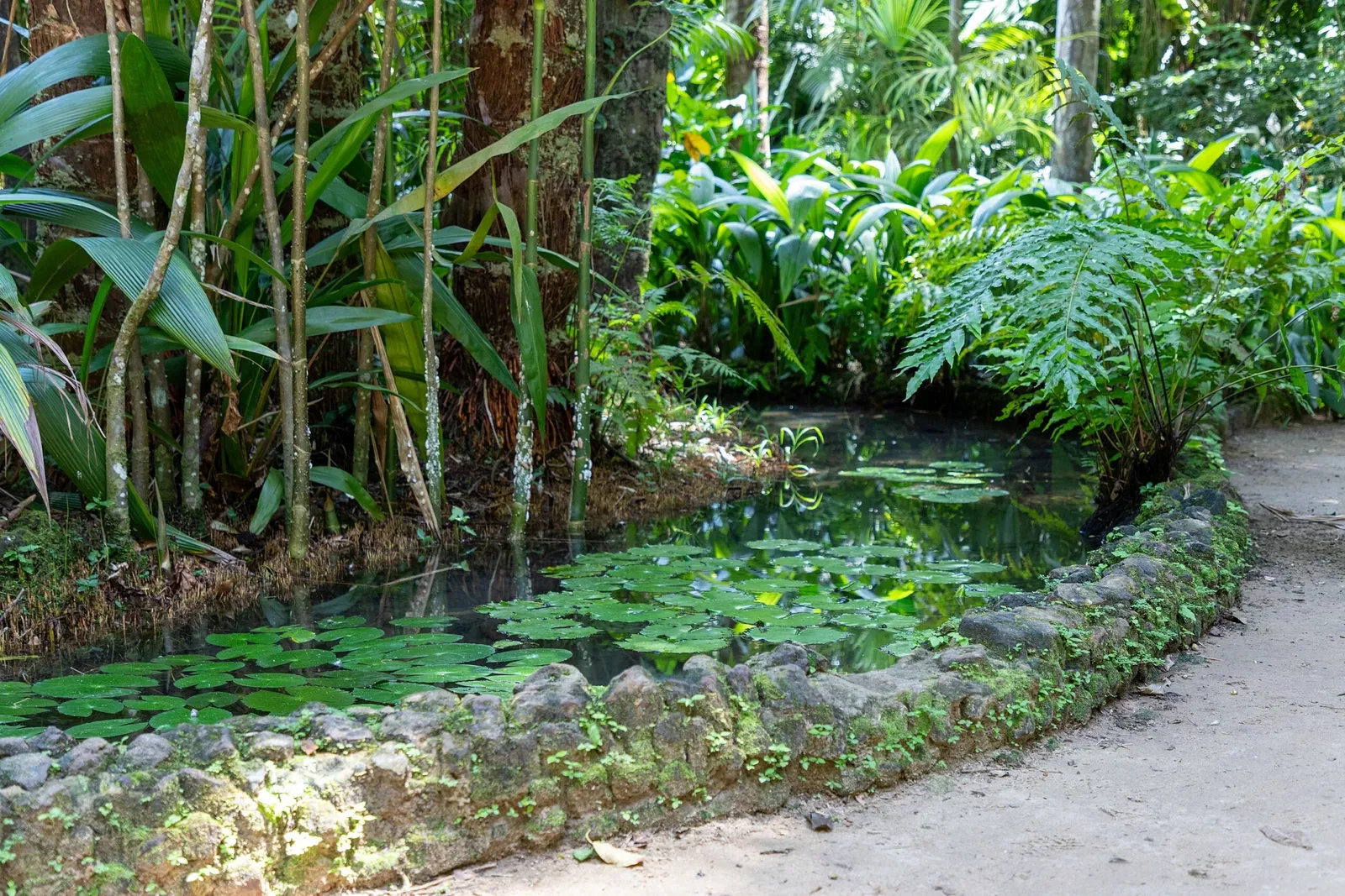 Musée du Pará Emílio-Goeldi