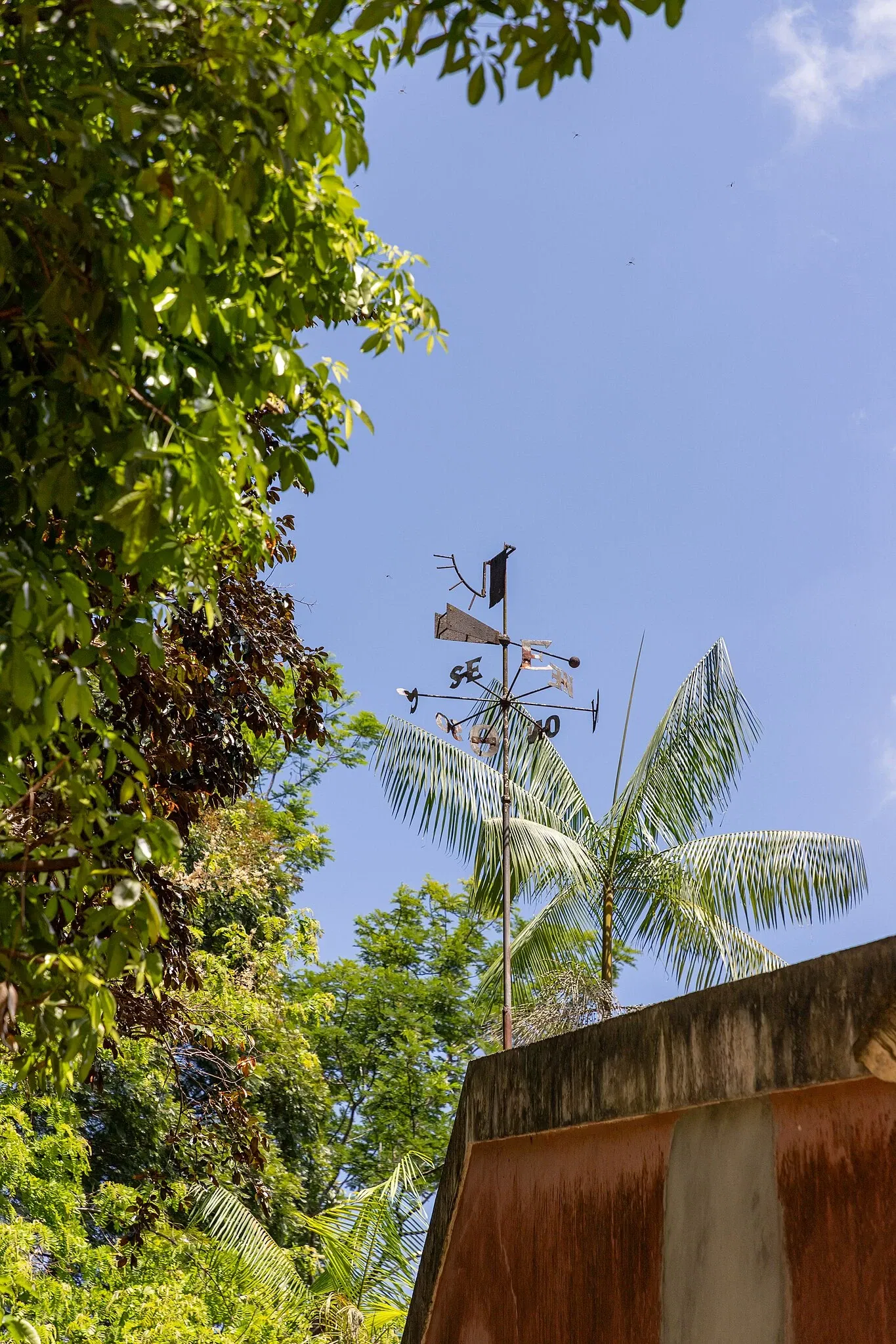 Musée du Pará Emílio-Goeldi