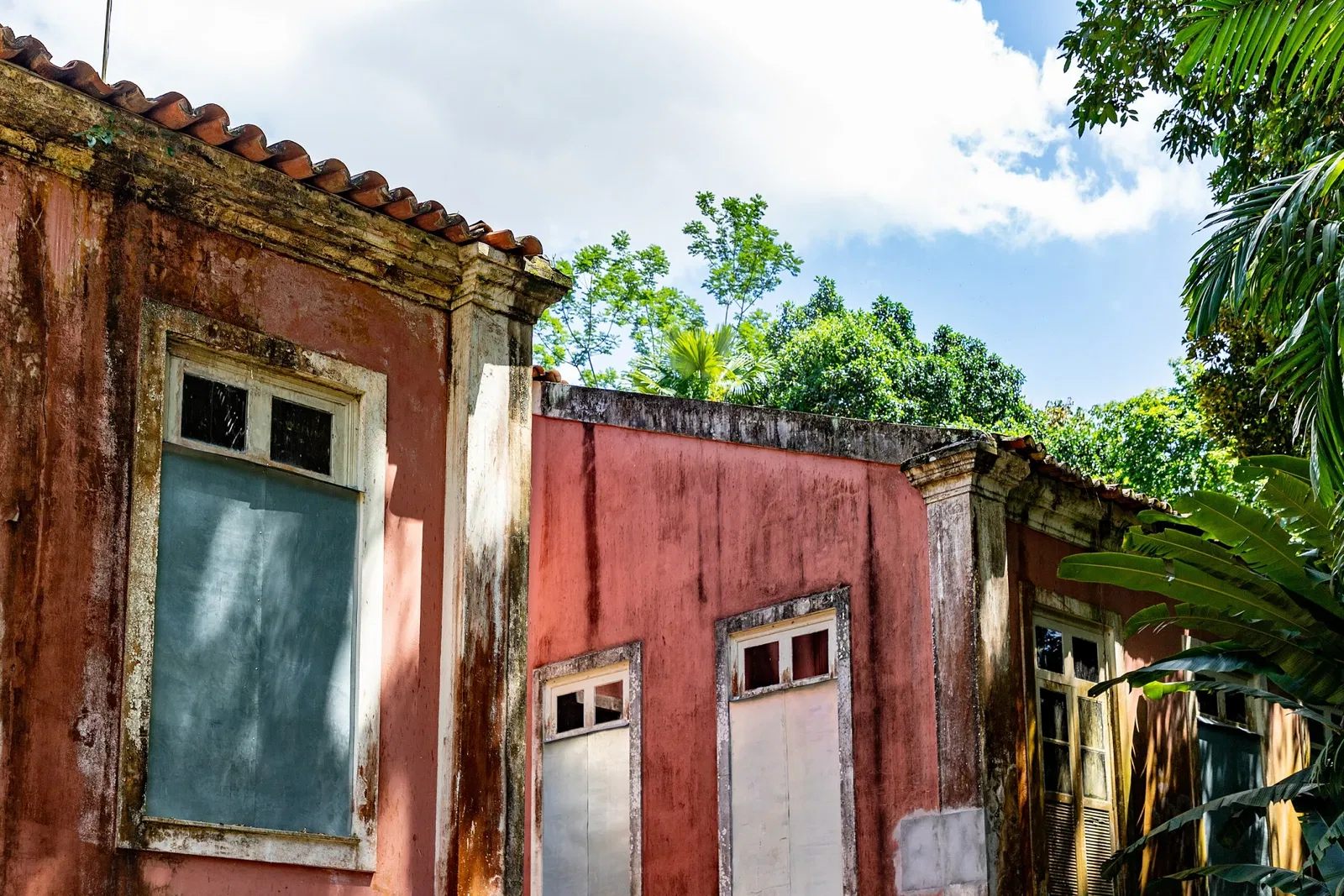 Musée du Pará Emílio-Goeldi