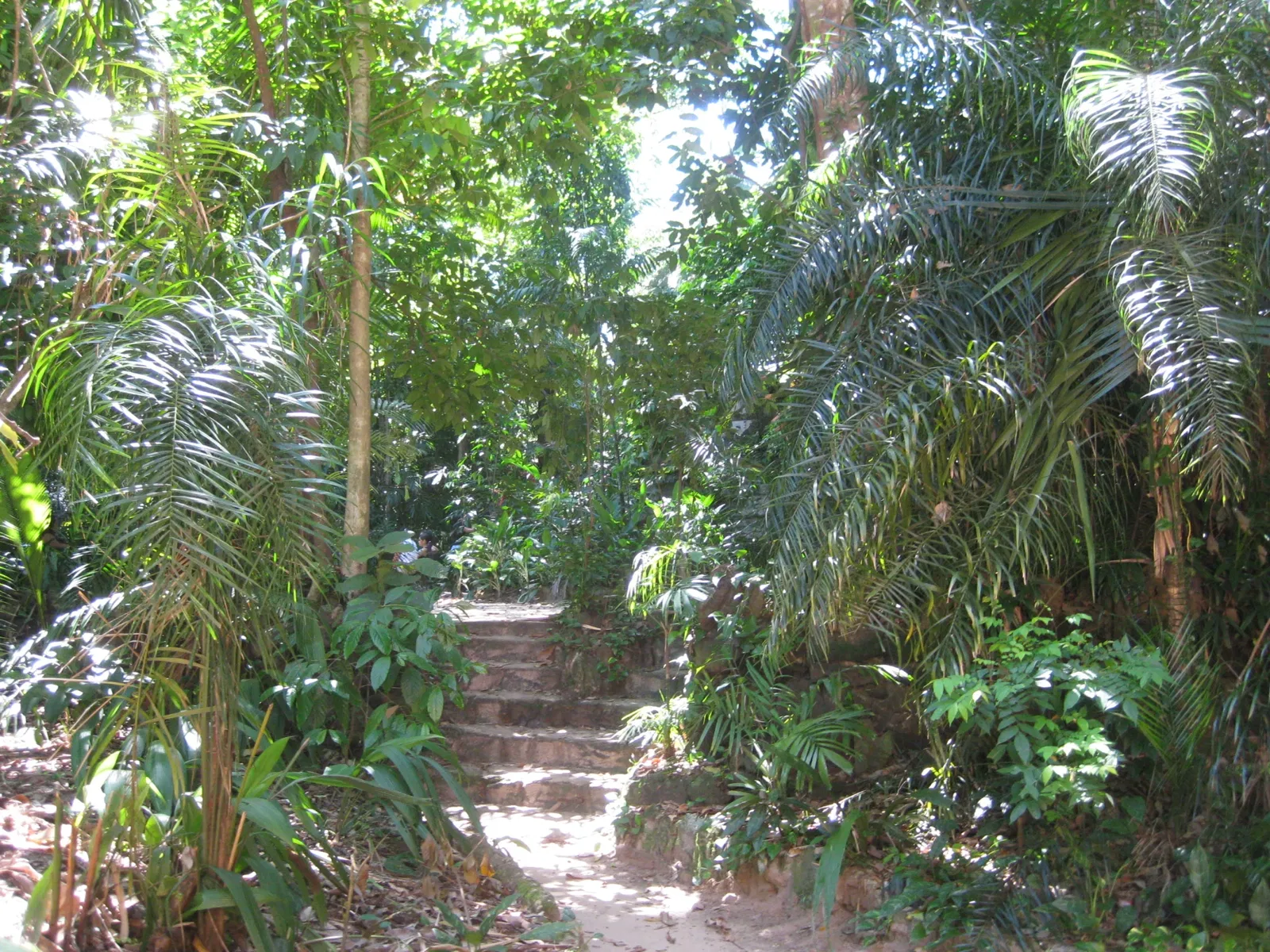 Museo Paraense Emílio Goeldi
