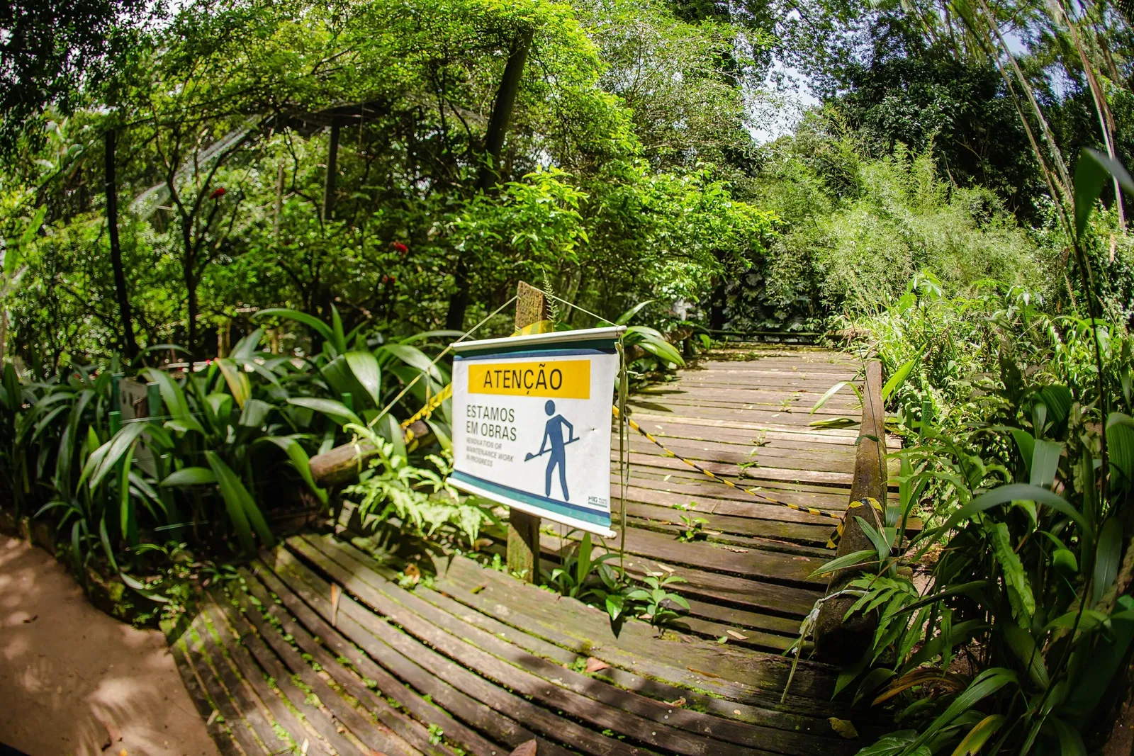 Musée du Pará Emílio-Goeldi