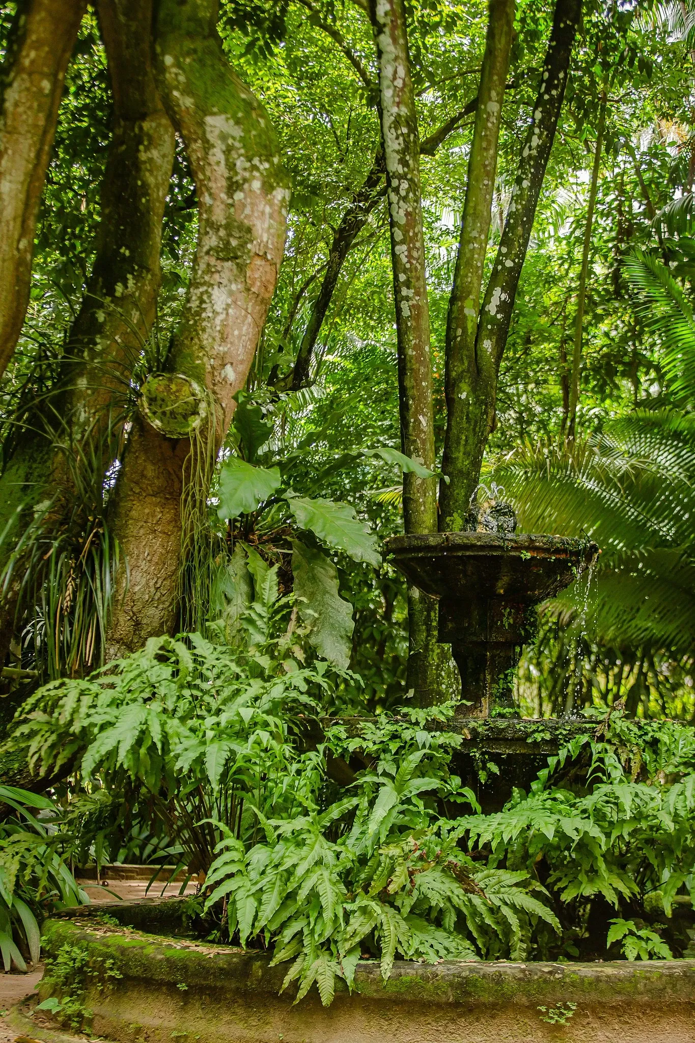 Musée du Pará Emílio-Goeldi