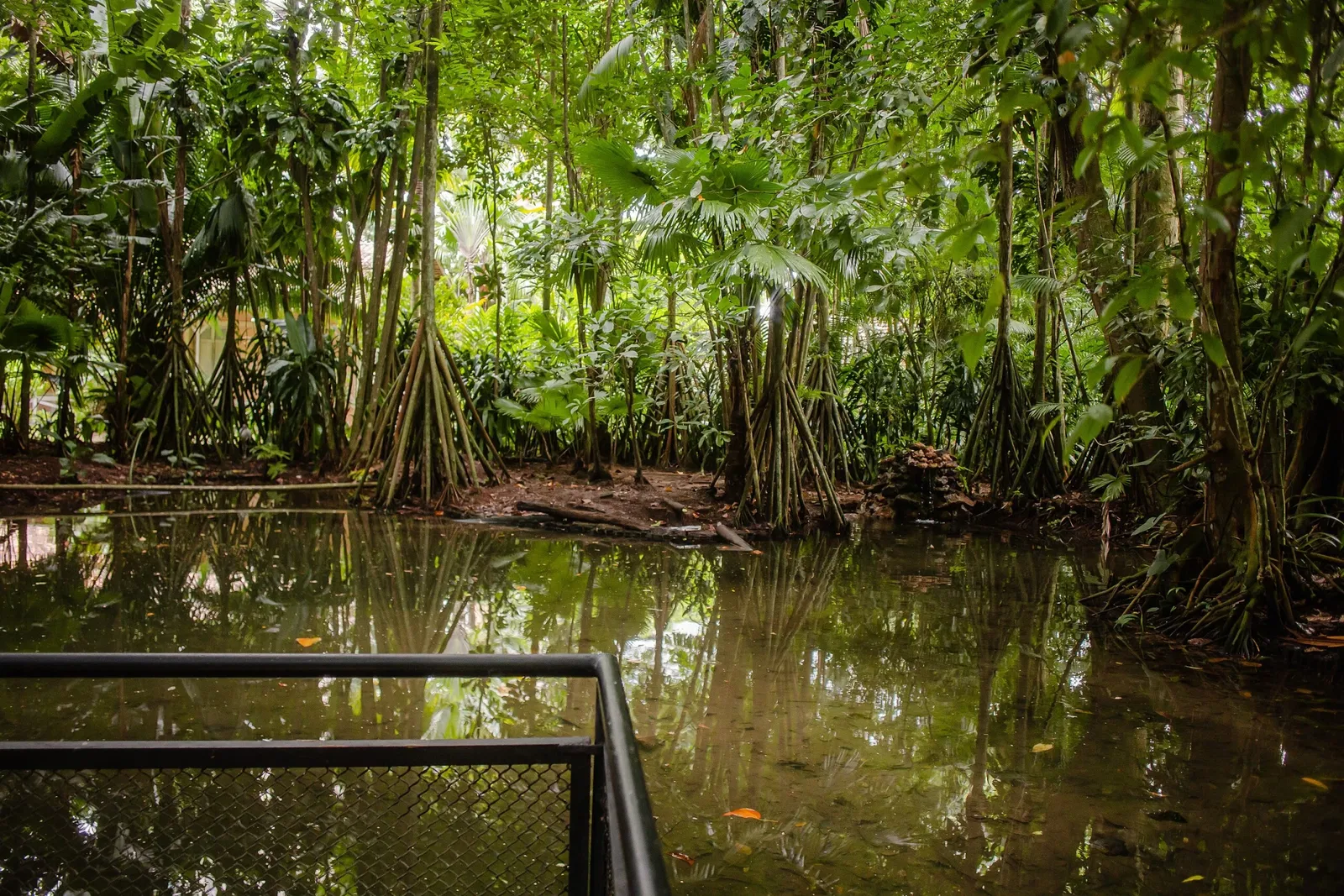 Musée du Pará Emílio-Goeldi
