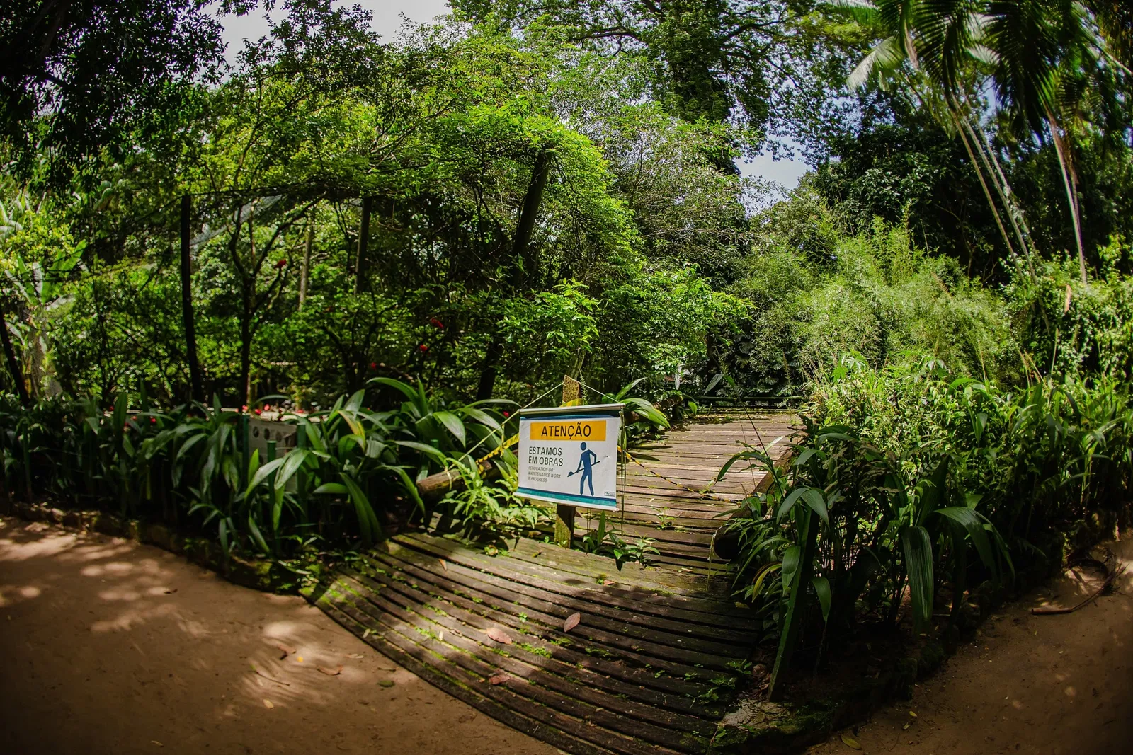 Musée du Pará Emílio-Goeldi