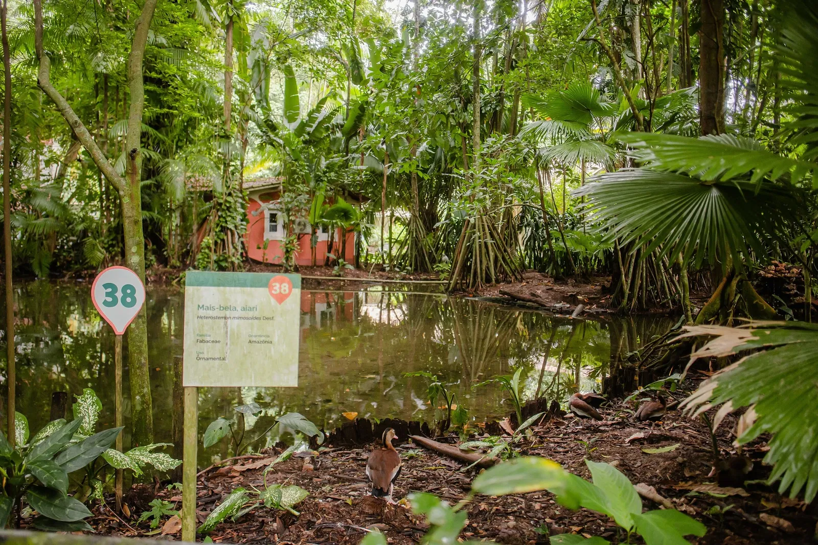 Musée du Pará Emílio-Goeldi