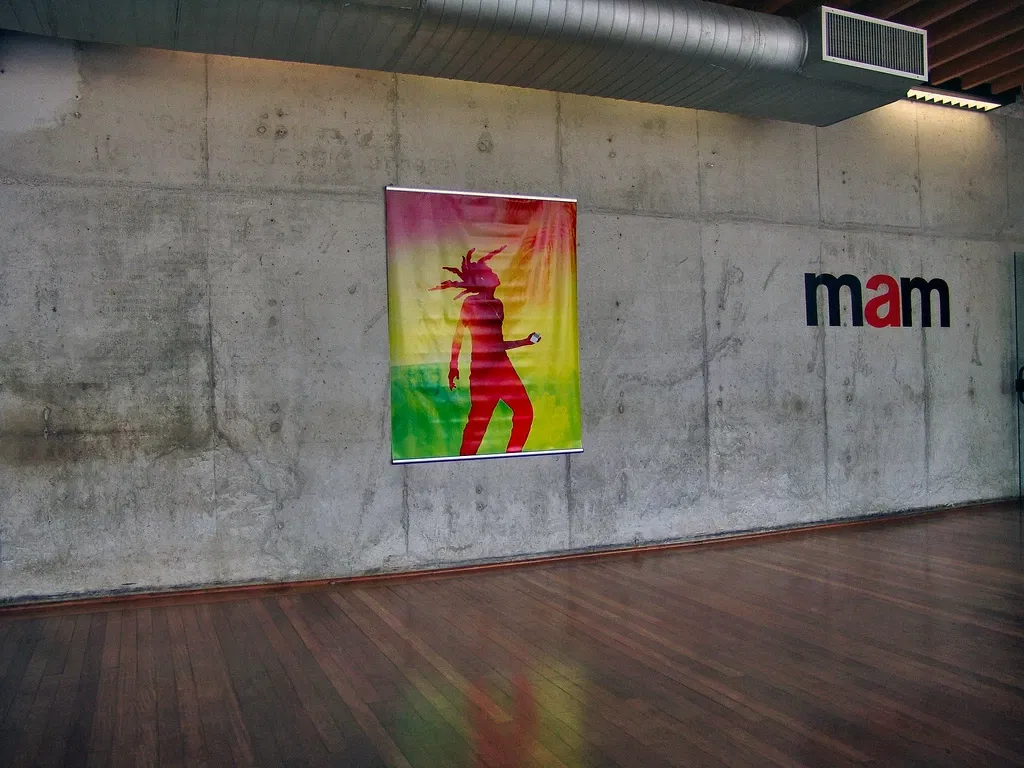 Museo de Arte Moderno de São Paulo